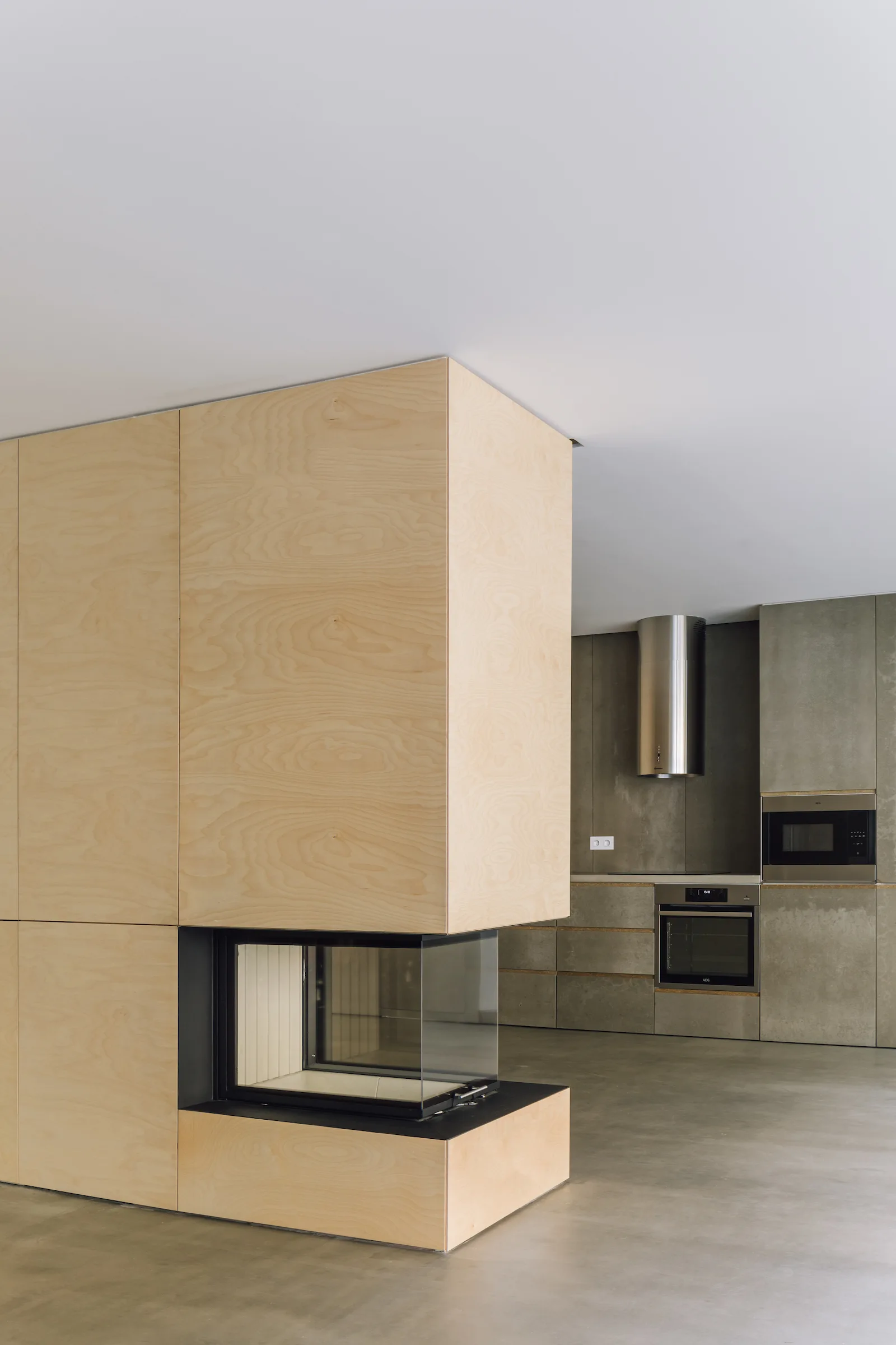A glass-enclosed fireplace is built into light plywood cabinets next to a modern kitchen with gray concrete-look cabinetry and stainless steel appliances.