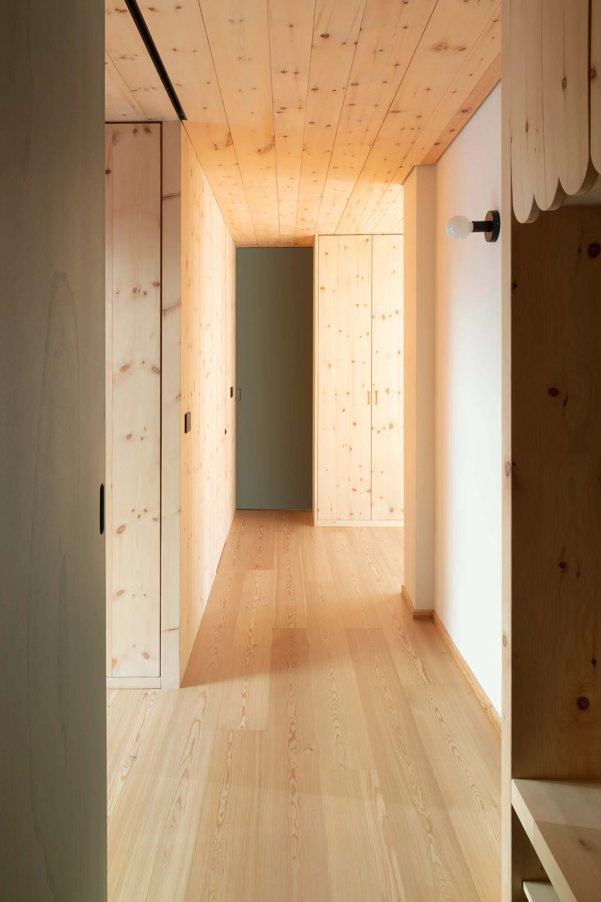 A minimalist hallway features light wood paneling on the walls and ceiling, matching wood floors, integrated cabinetry, and an olive green door at the far end.
