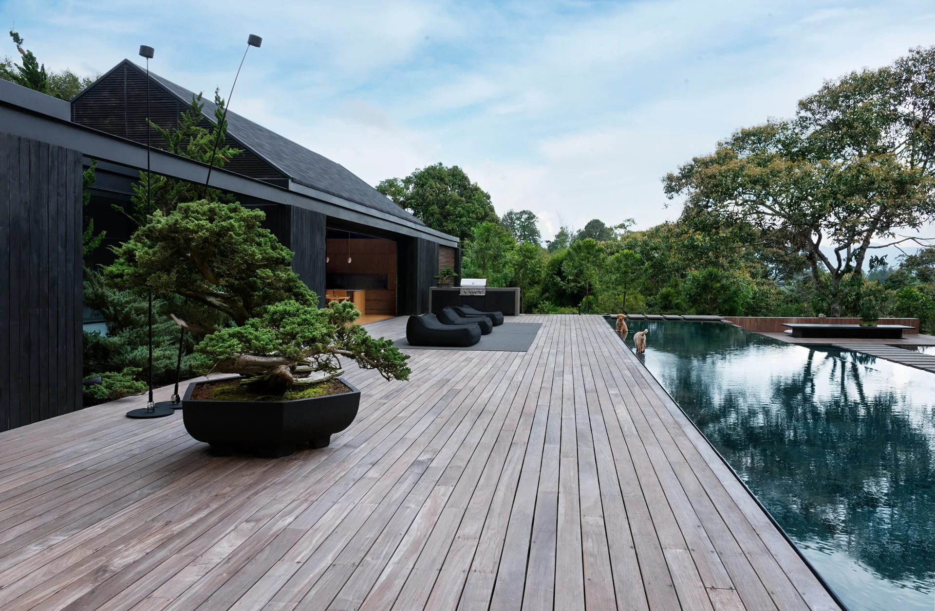 A spacious wooden deck sits alongside a dark swimming pool next to a modern black timber-clad house with lush green trees in the background.