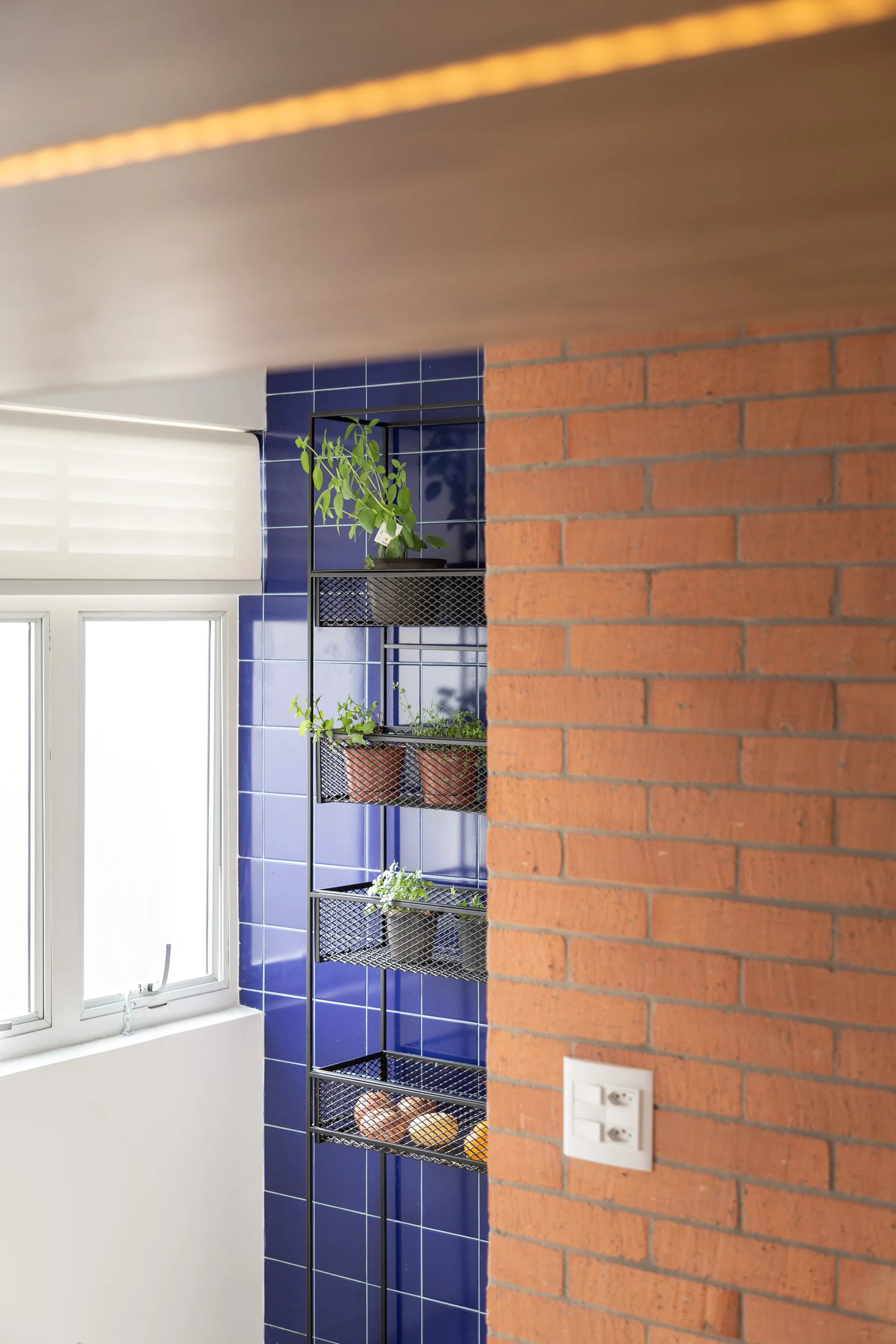 A black metal wire shelving unit holding small potted plants stands between a glossy blue tiled wall and an exposed orange brick wall.