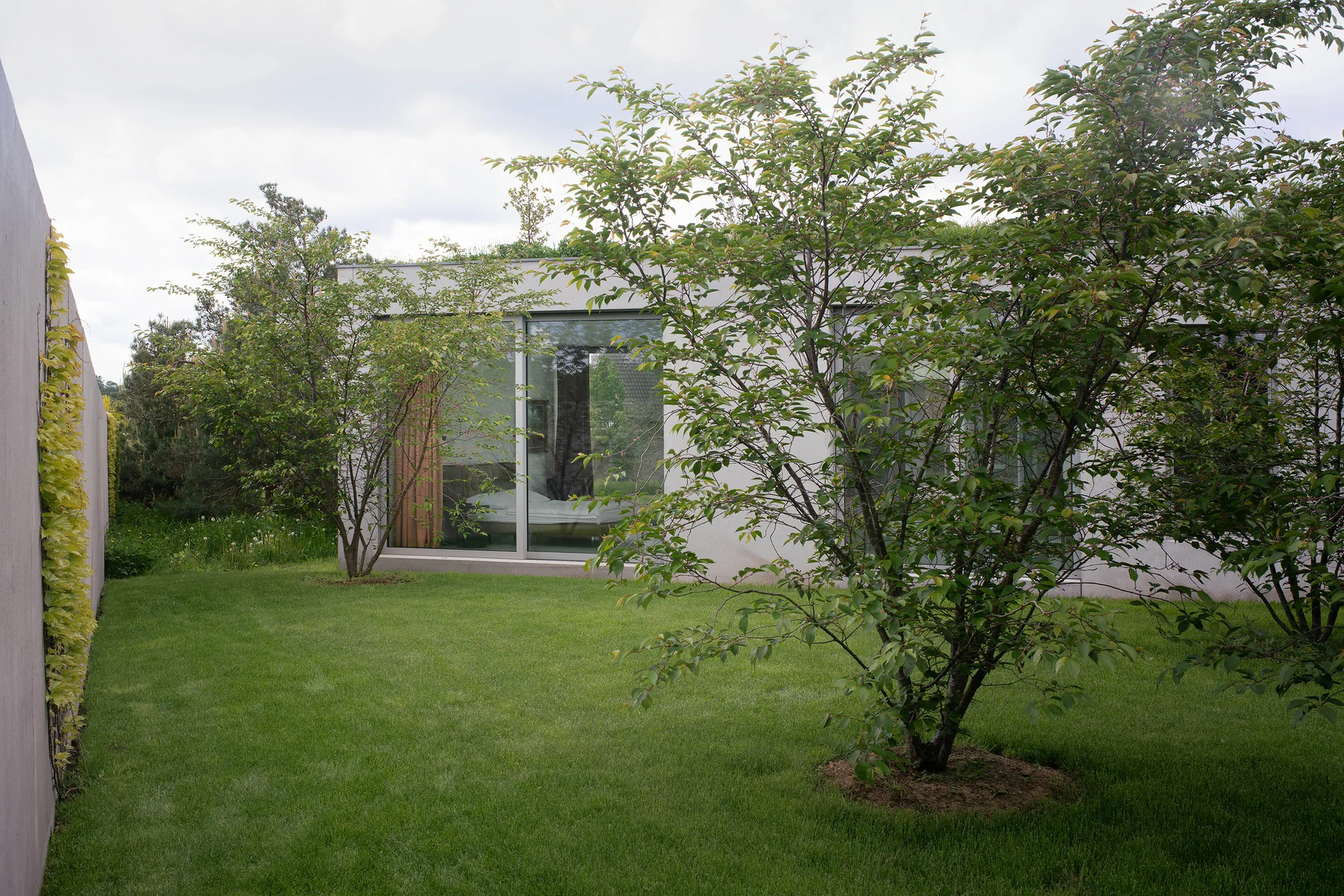 A modern gray flat-roofed house features large sliding glass doors facing a lush green lawn planted with young leafy trees.