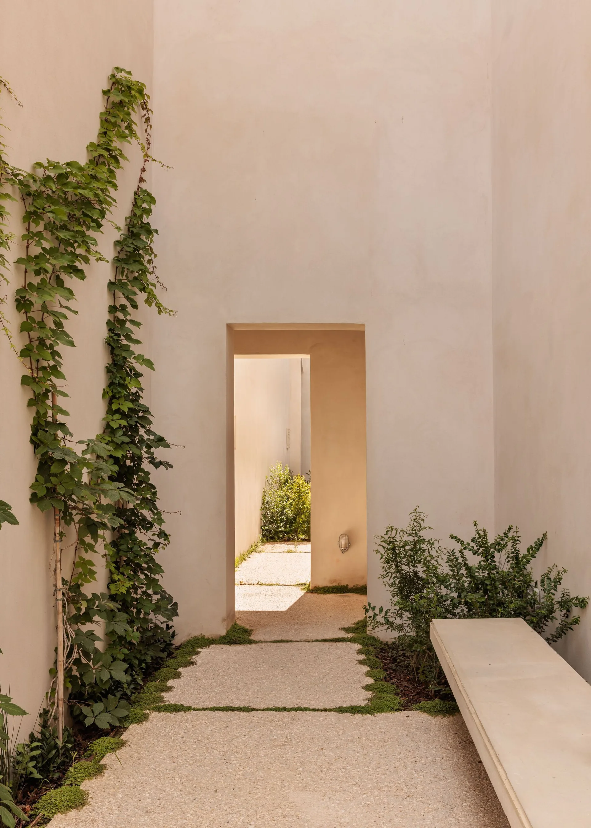A minimalist outdoor stucco courtyard features a stone bench, a gravel pathway lined with green grass, and climbing green vines on a beige wall.