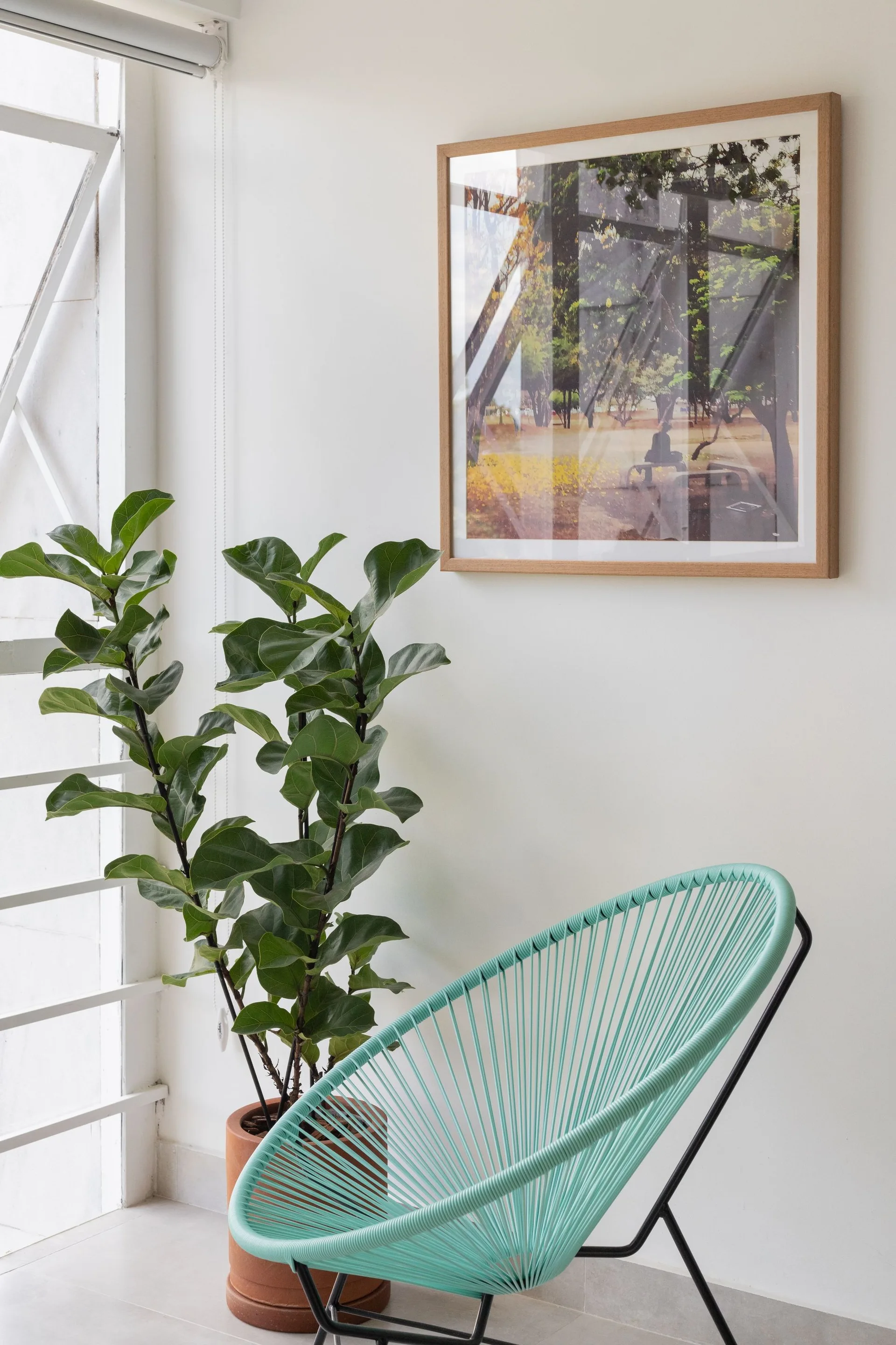 A bright living room corner features a teal woven Acapulco chair, a potted fiddle leaf fig plant, and a wood-framed landscape photo on a white wall.
