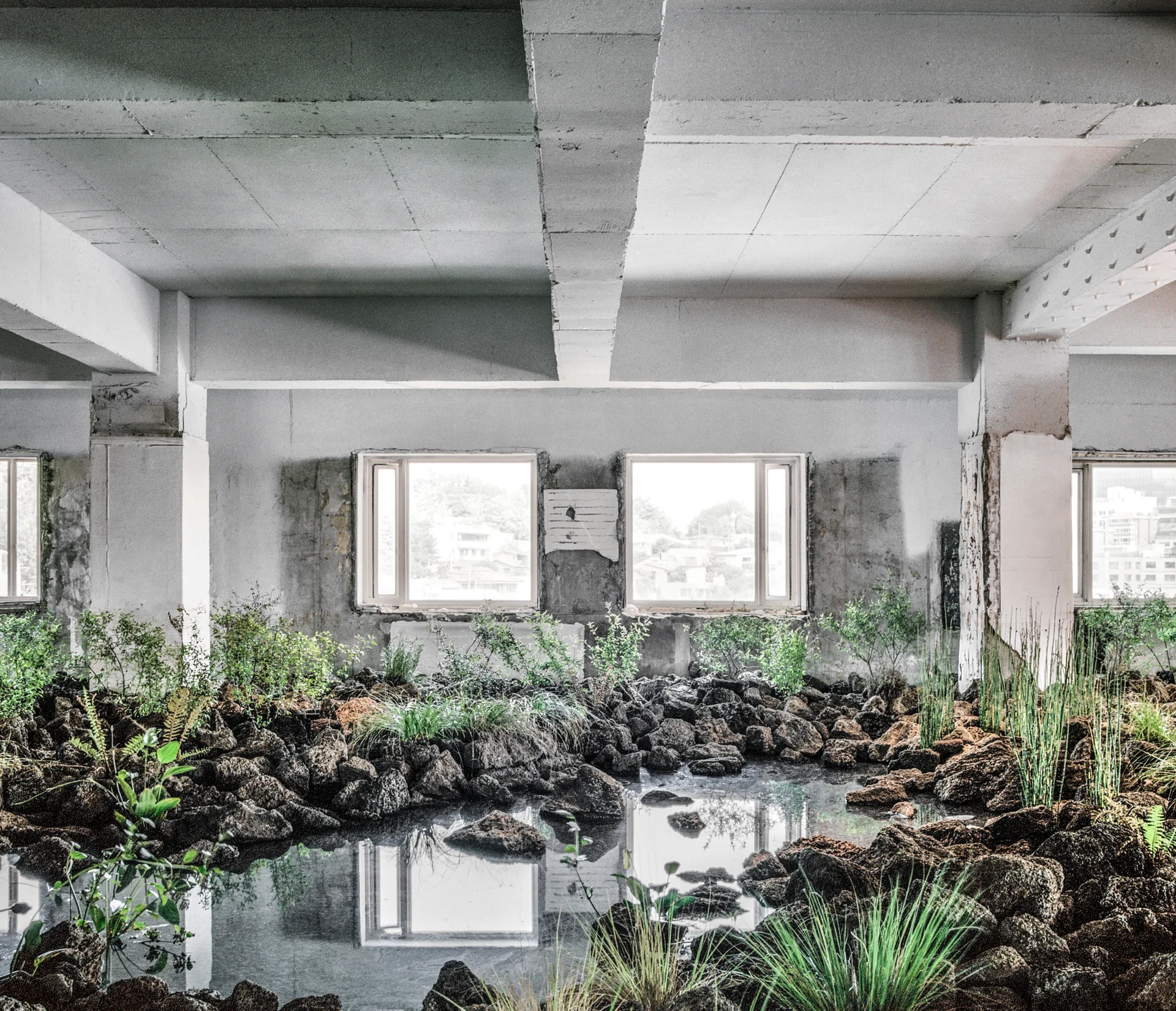 An unfinished concrete room features a central water garden surrounded by dark volcanic rocks and green plants under square windows.