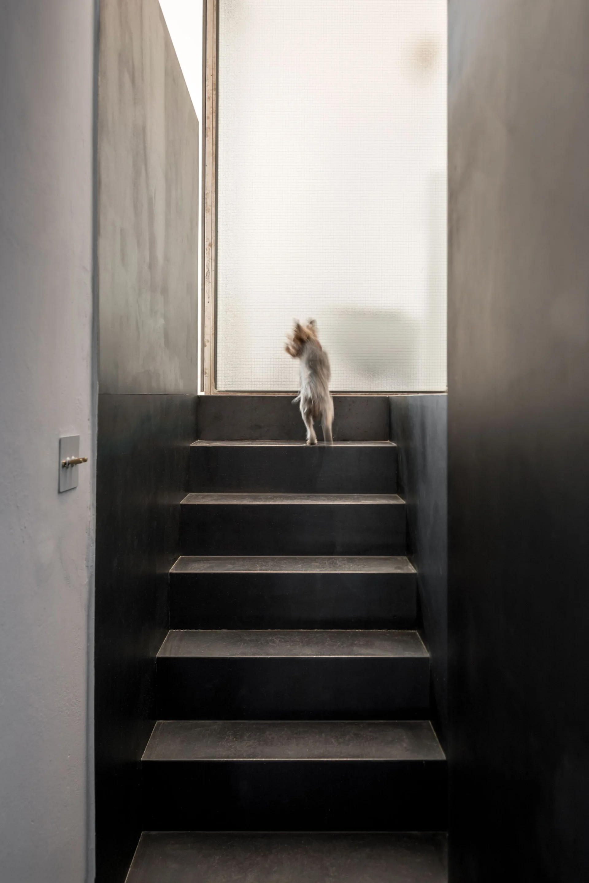 A minimalist black staircase with matte walls leads toward a large frosted glass window.