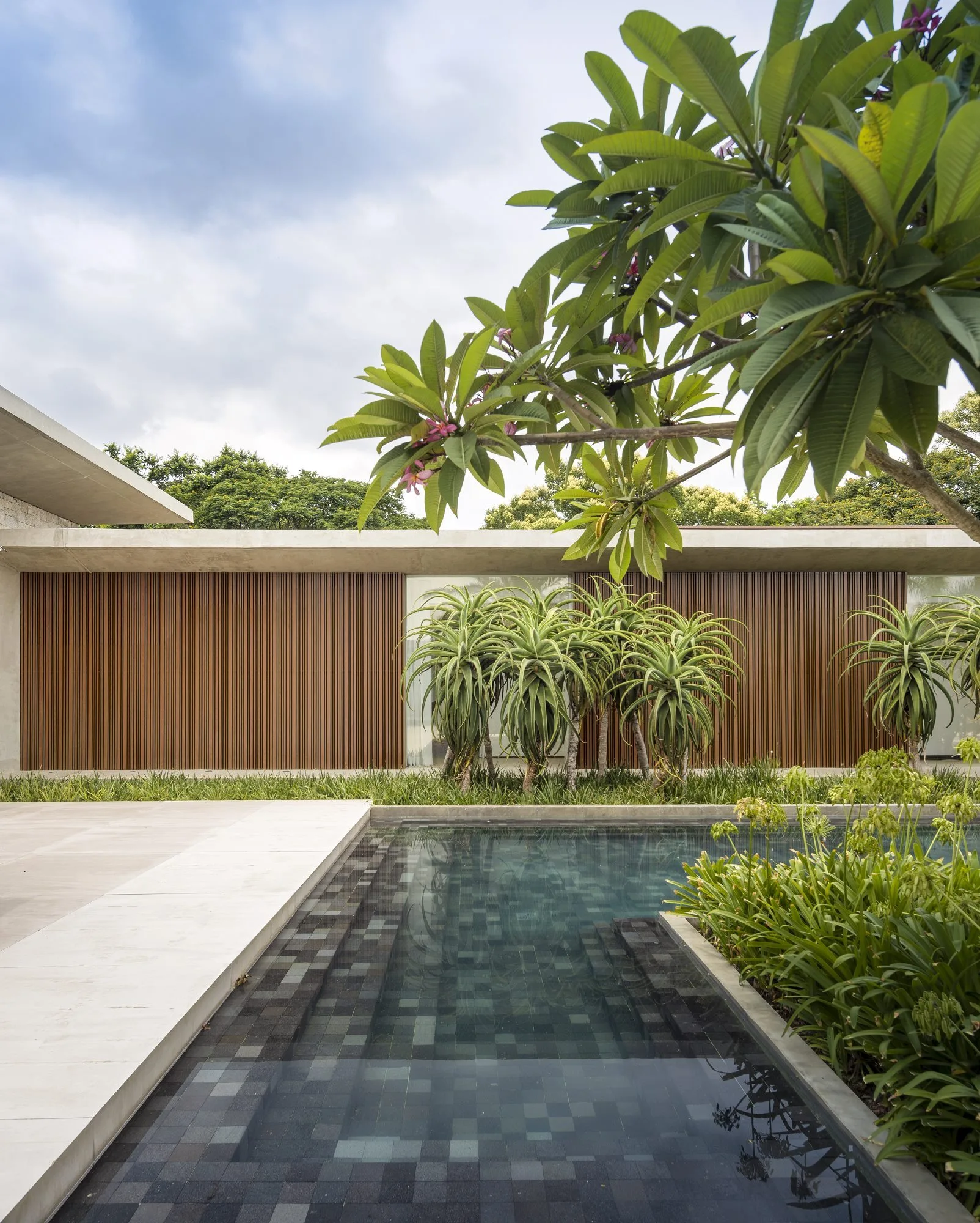 A modern outdoor pool with dark grey tiles, bordered by a light stone deck and a vertical wood slat feature wall flanked by tall succulent plantings.