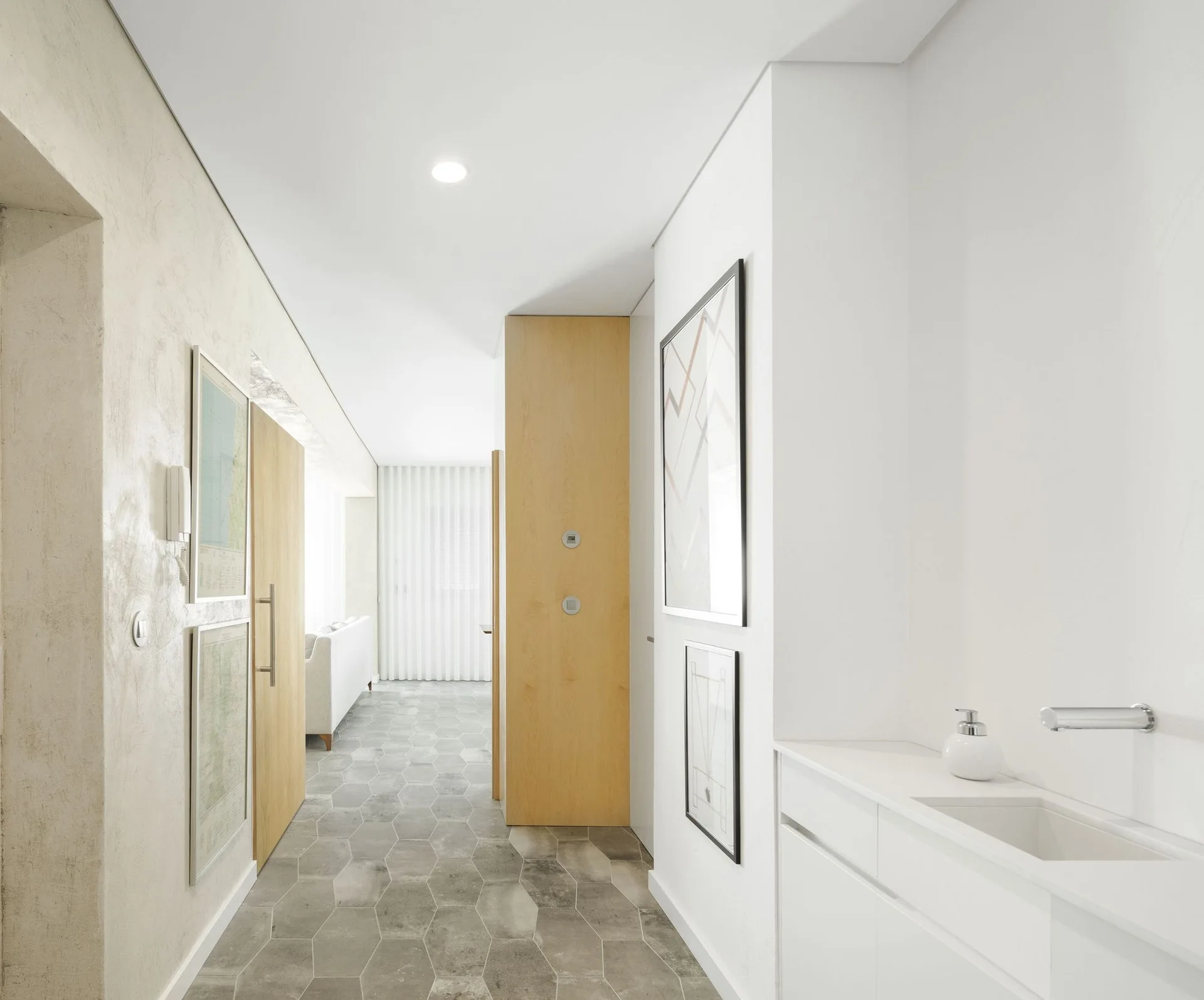 A modern hallway features grey hexagonal floor tiles, a white wall-mounted sink vanity, light wood doors, and framed art leading to a bright living area.