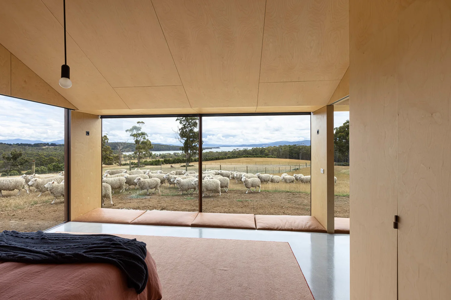 A minimalist bedroom features plywood walls and ceiling, a concrete floor, and a large window looking out at a flock of sheep on a grassy field.