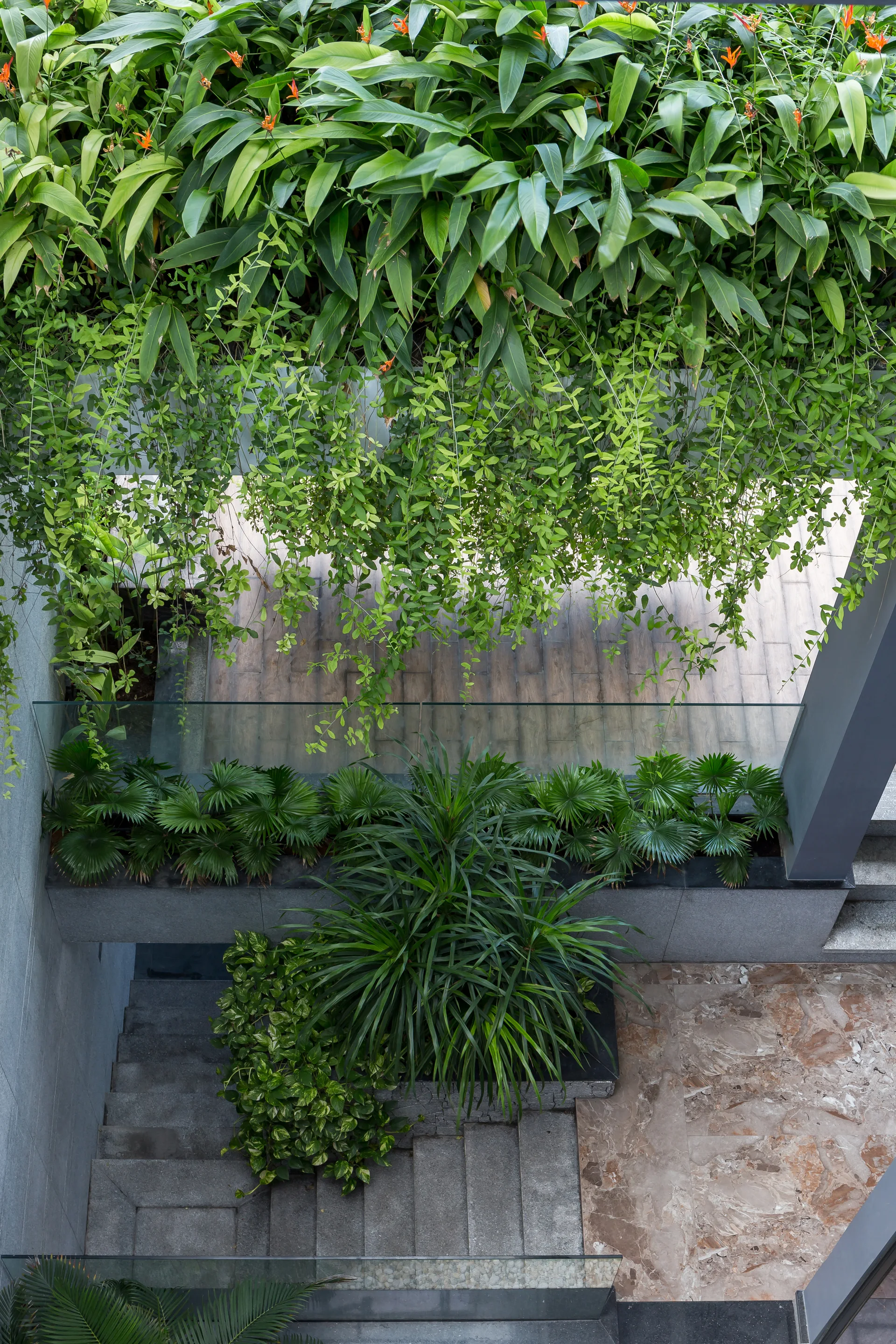 An overhead view of a concrete staircase and stone floor integrated with lush tropical plants and a clear glass railing.