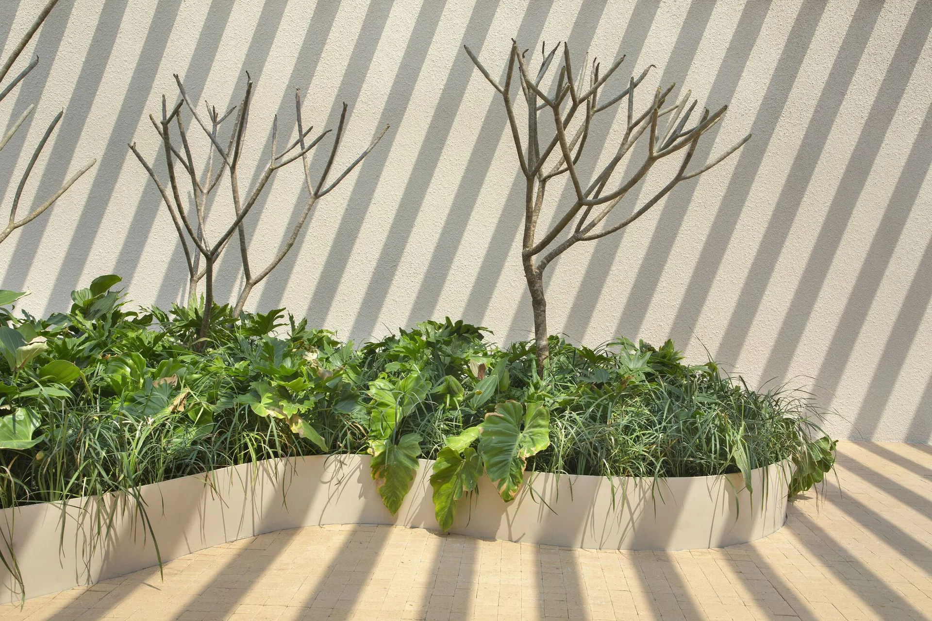 A curved beige planter filled with green foliage and bare-branch trees sits on a brick patio against a textured wall with strong diagonal striped shadows.