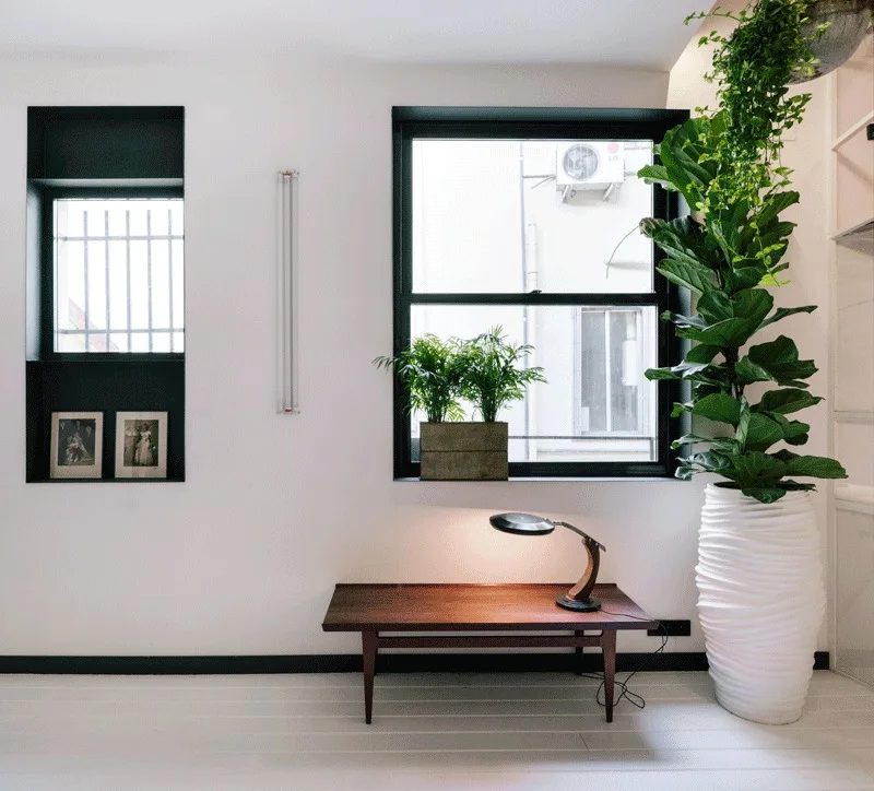 A minimalist white room with a low wood bench under a black-framed window, next to a tall white textured planter and a black wall recess.