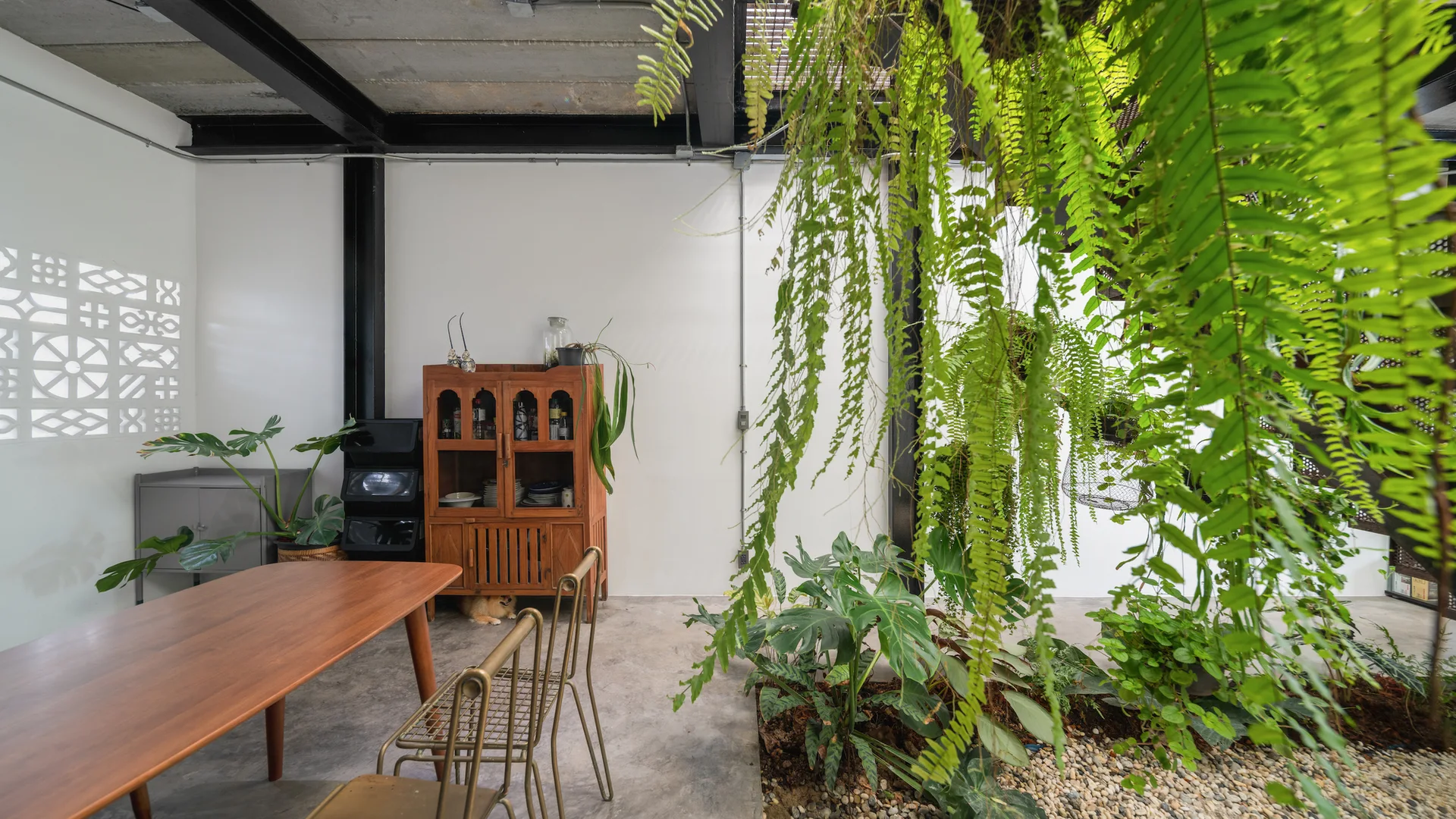 An industrial dining room features a wooden table and cabinet alongside a built-in indoor garden bed with lush hanging ferns.