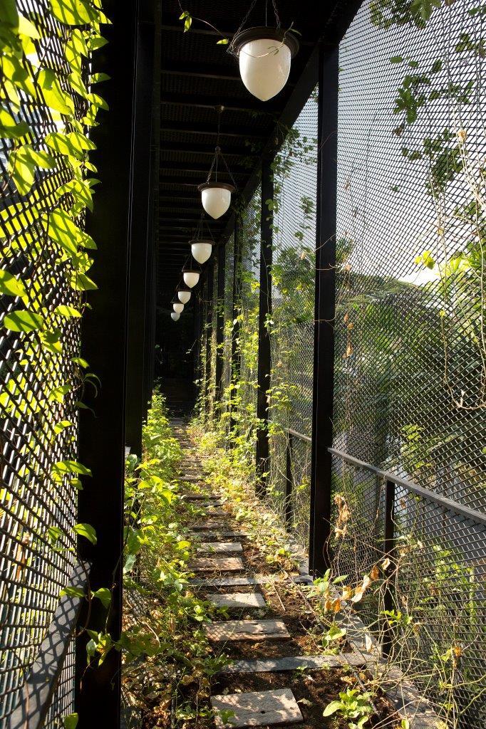 A narrow outdoor stepping stone path is flanked by black metal mesh trellises covered in climbing green vines under a row of hanging white pendant lights.