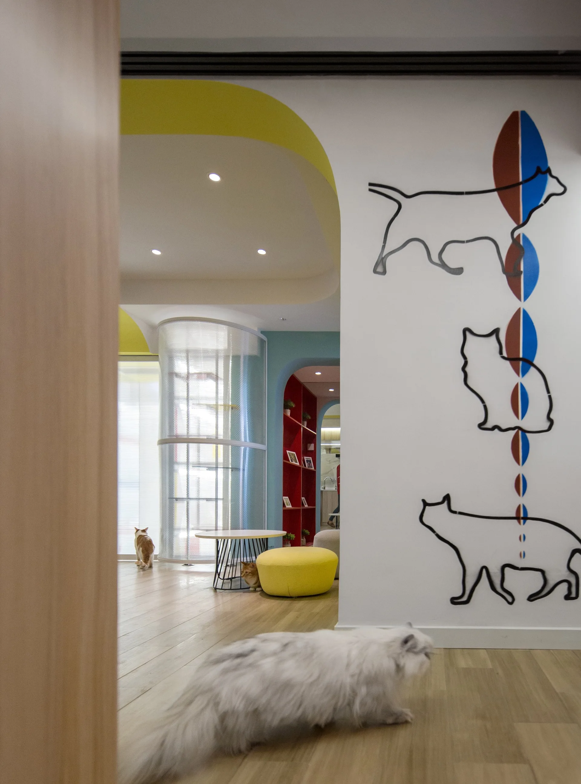 A modern white living space features colorful arched entryways, black outline pet graphics on a wall, and cats walking on light wood floors.