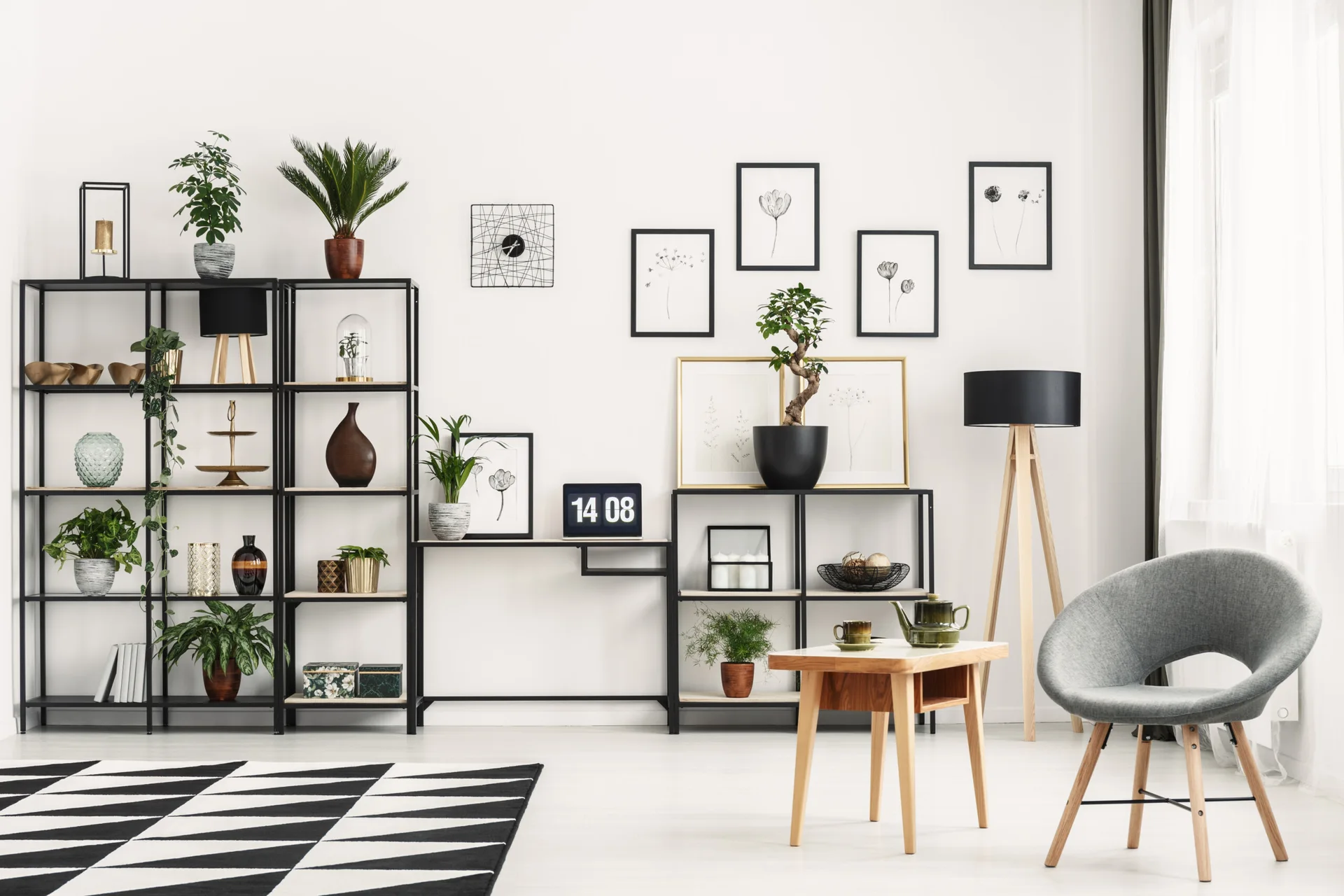 A minimalist living room with black metal open shelving, potted plants, a grey armchair, and a black and white geometric rug.
