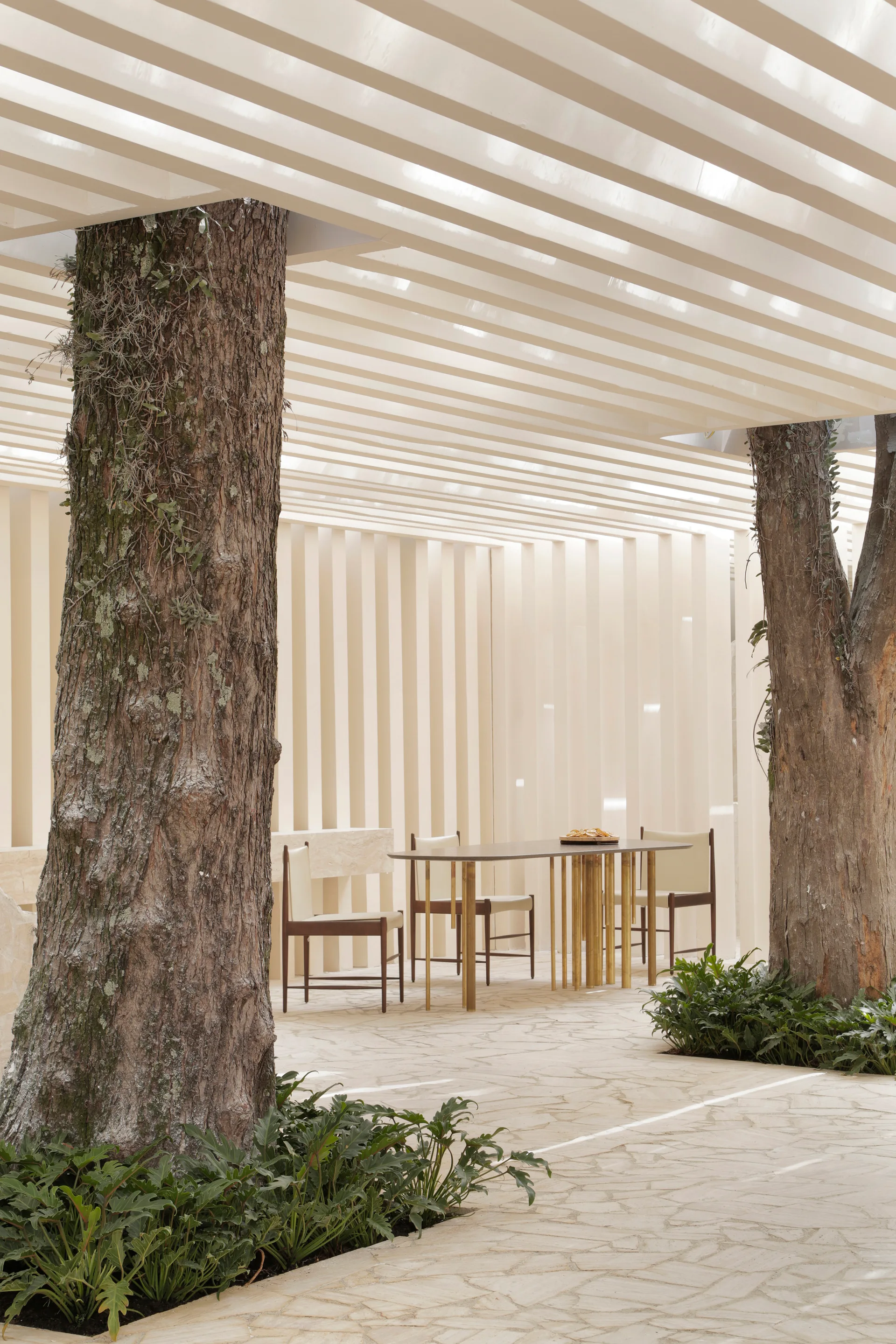 A modern outdoor dining set sits on a stone patio beneath a cream slatted pergola with mature trees growing through ceiling openings.