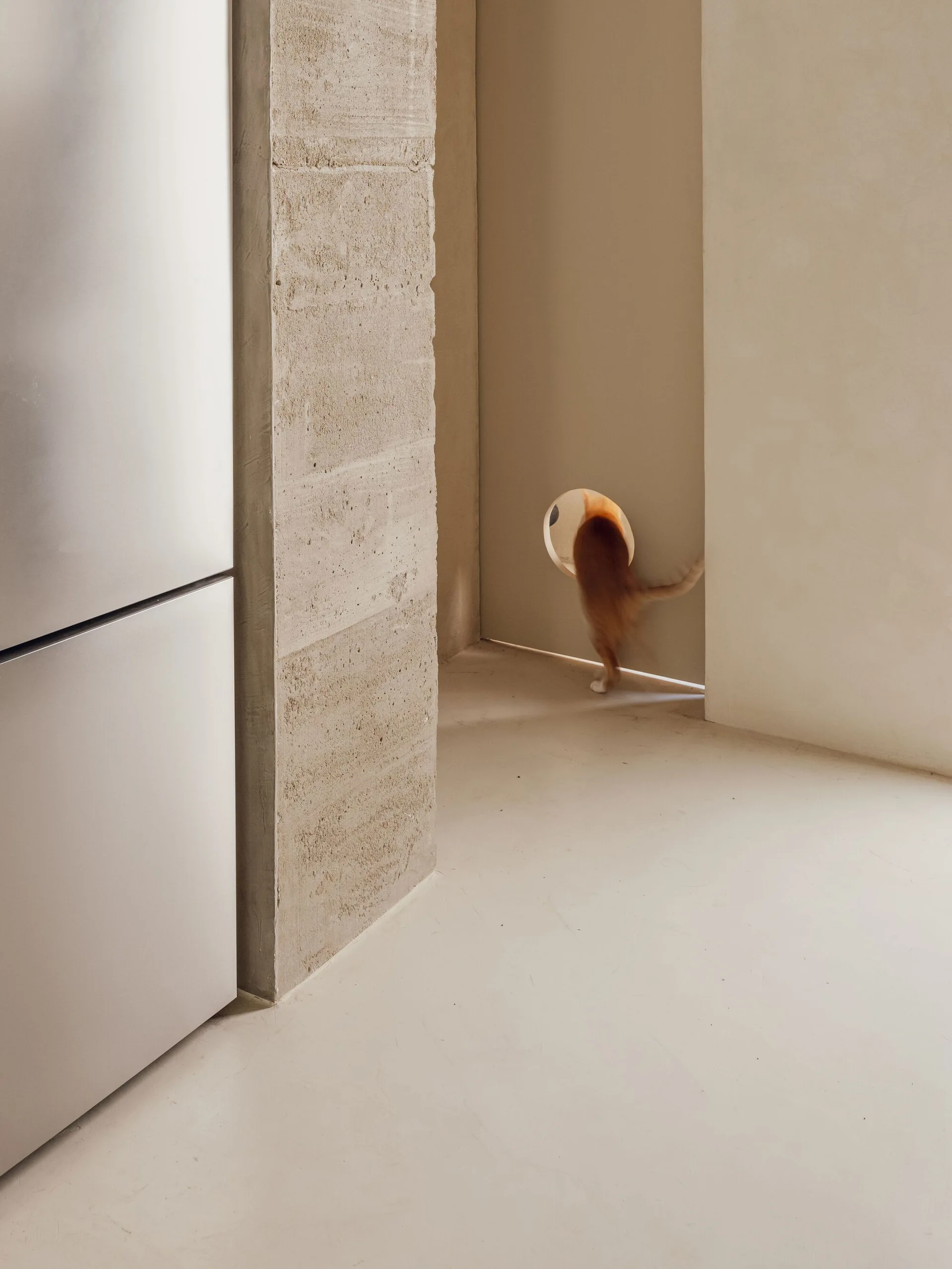 A ginger cat steps through a circular pet portal cut into a minimalist beige door next to a textured concrete pillar.