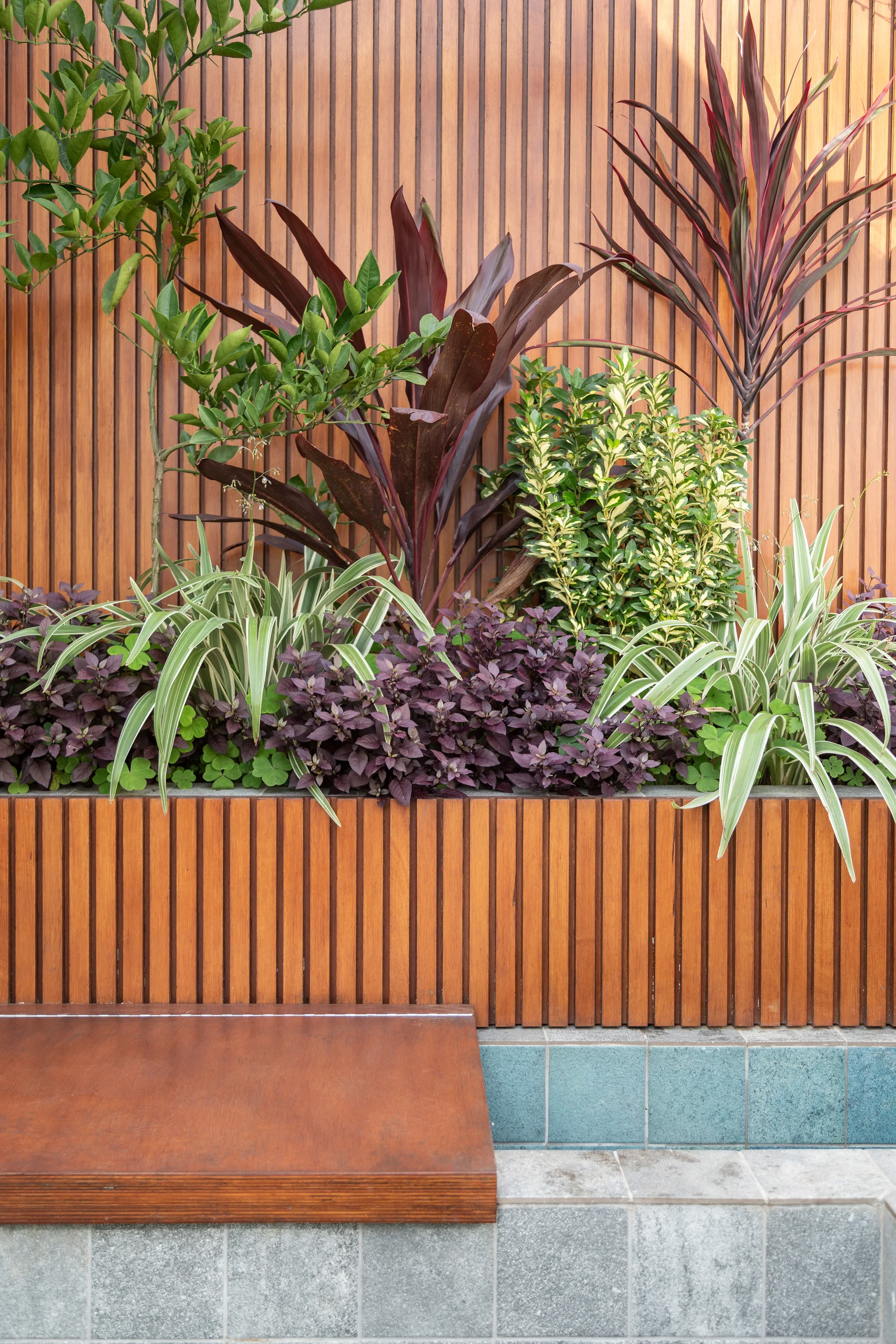 A vertical wood-slatted privacy wall rises behind a matching built-in planter with purple and green foliage next to stone tiled steps.