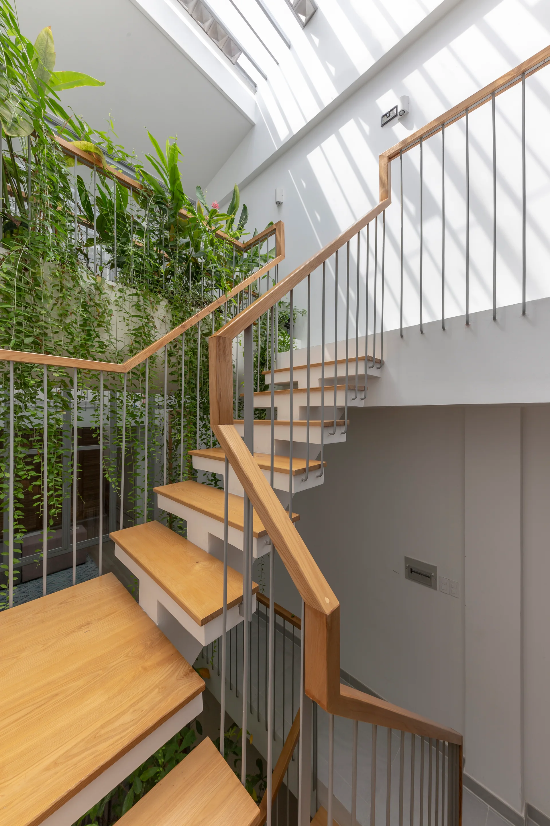 A modern indoor staircase features wooden steps, a wood handrail, and lush green plants climbing up the side beneath a bright skylight.
