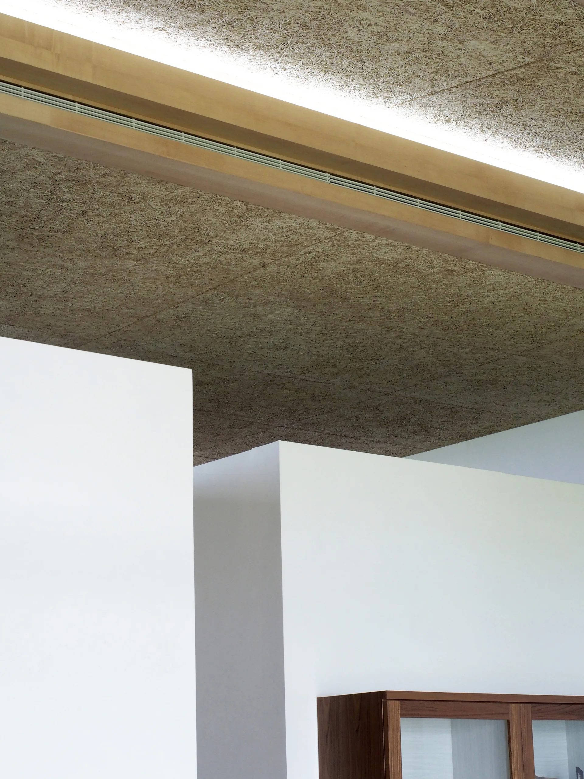 Minimalist white partition walls under a textured wood fiber acoustic ceiling with recessed cove lighting.