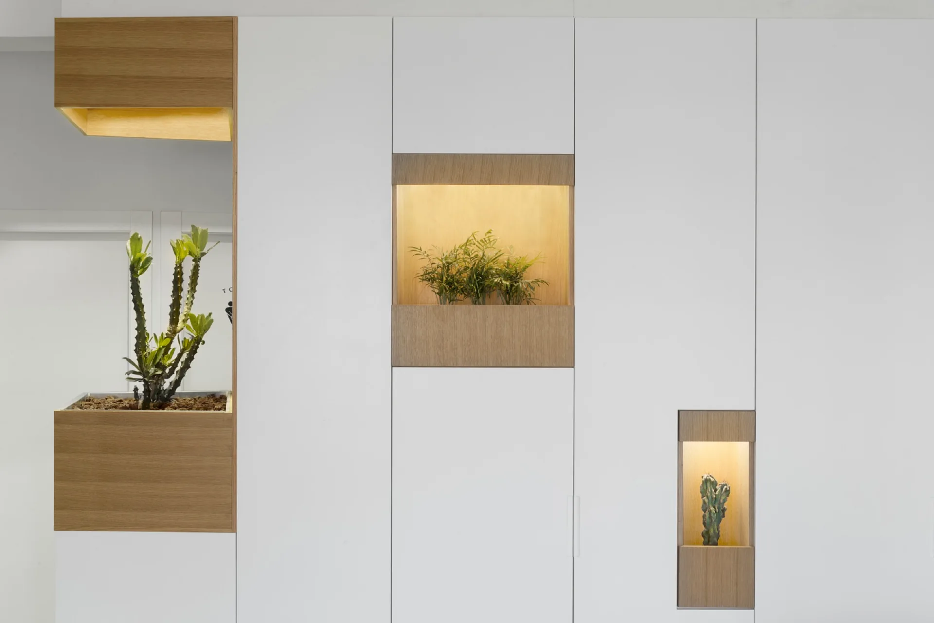A smooth white built-in storage wall featuring staggered wooden niches with warm integrated lighting and small potted green plants.