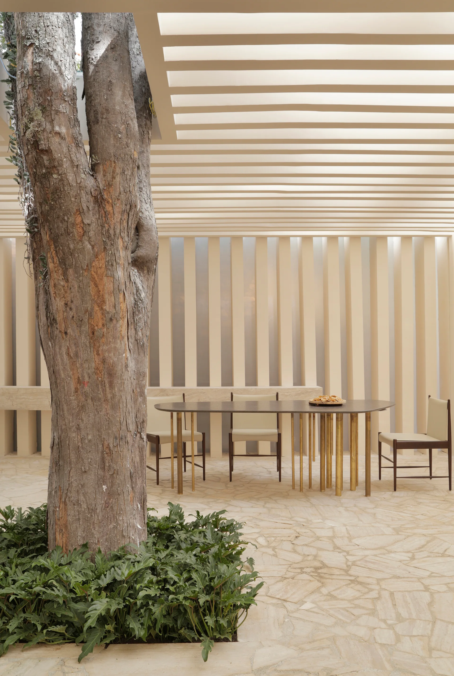 A patio dining set with a dark table sits on irregular stone pavers beneath a cream slatted pergola integrated around a large tree trunk.
