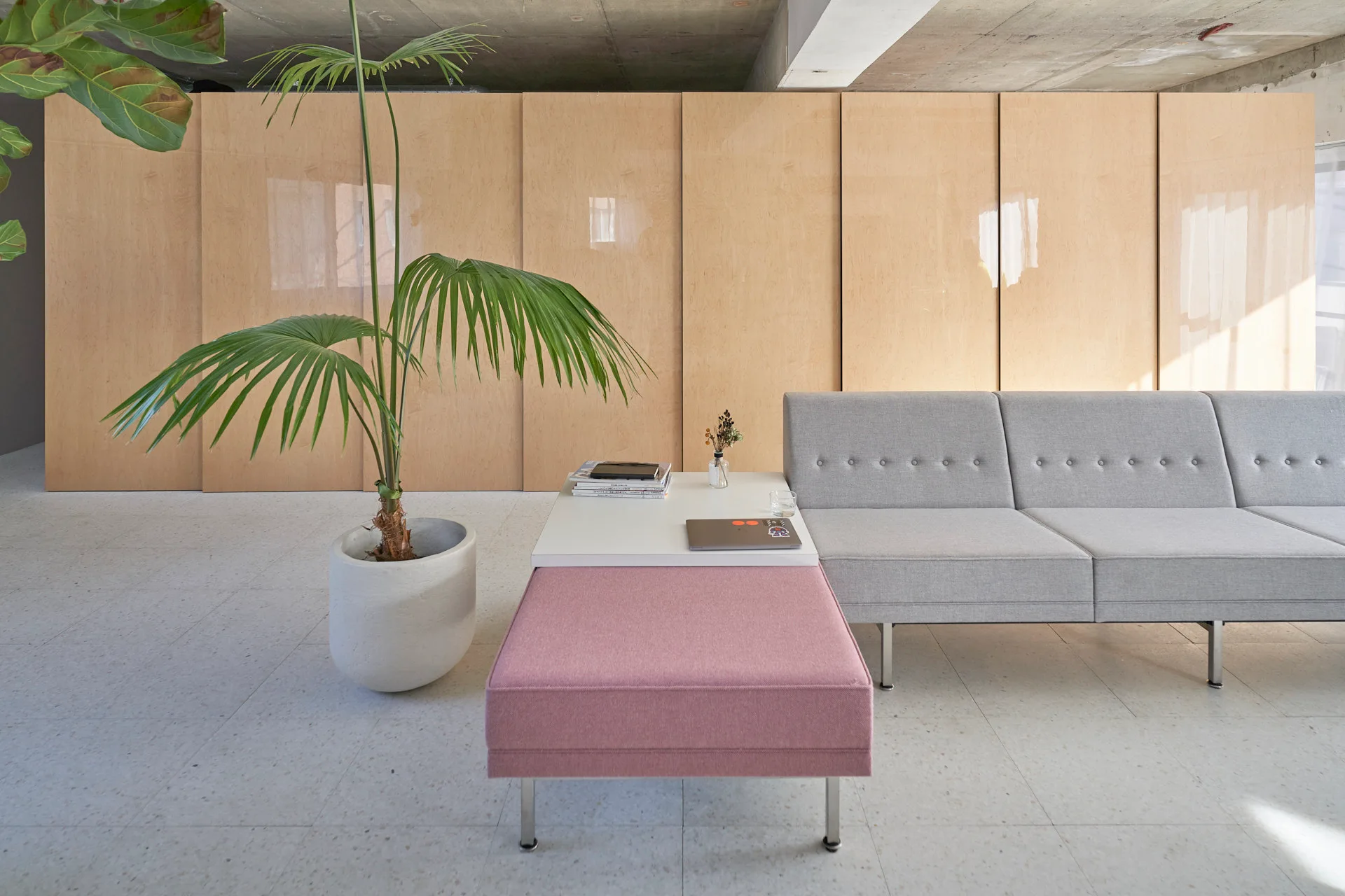 A minimalist lounge featuring a gray button-tufted sofa, a pink-upholstered bench table, a tall potted palm, and a light wood-paneled wall.