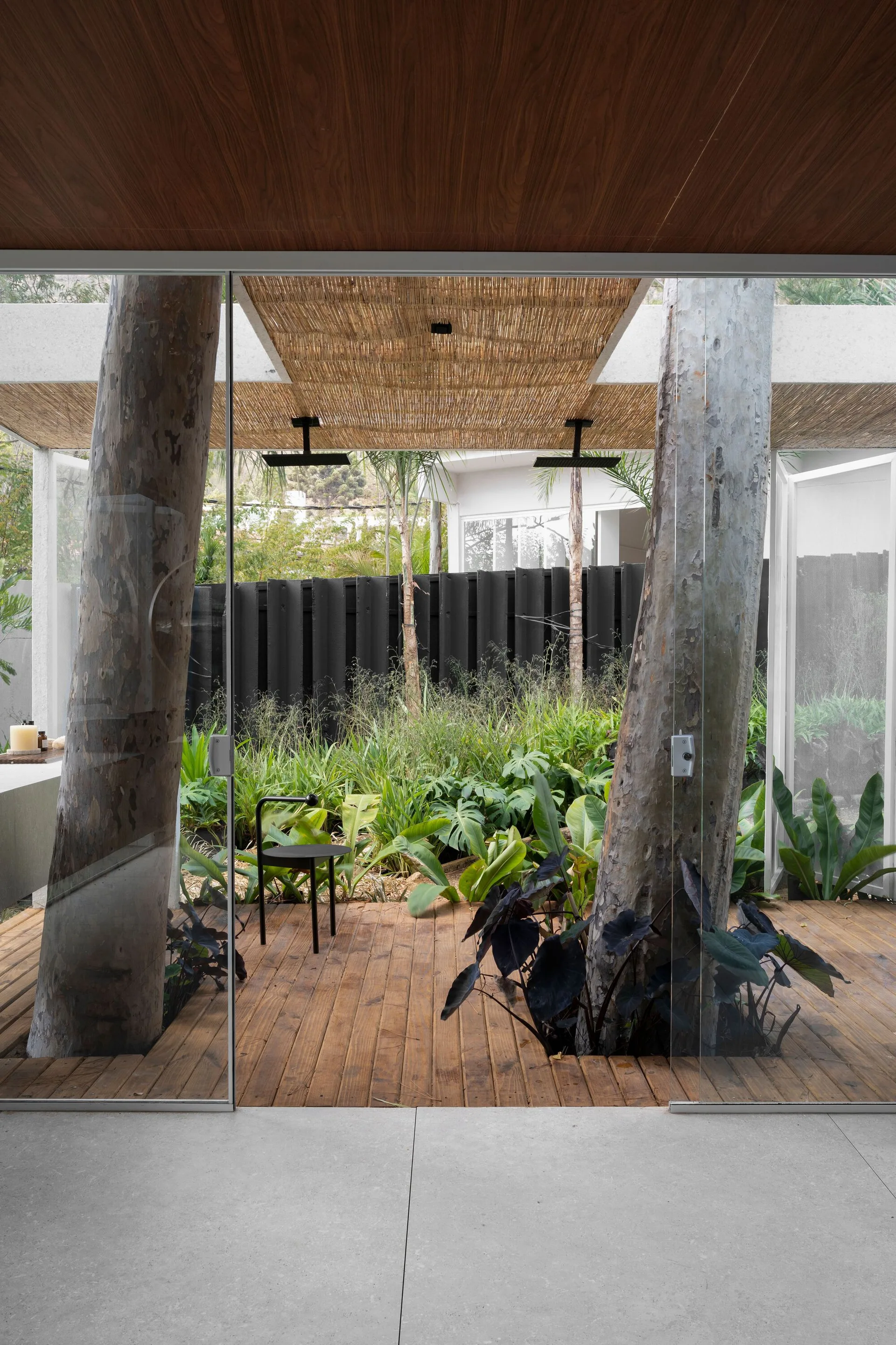 A view through glass sliding doors to a wooden patio deck featuring mature tree trunks growing through the planks under a woven reed canopy.