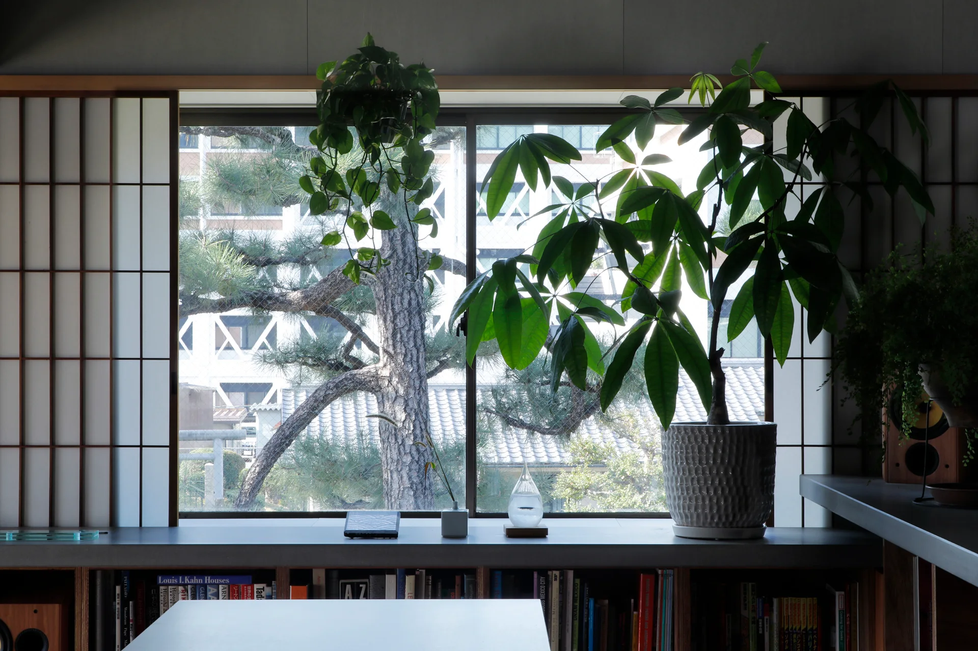 A large window with wooden shoji screens on either side, featuring a built-in bookshelf below a wide shelf holding several green potted plants.