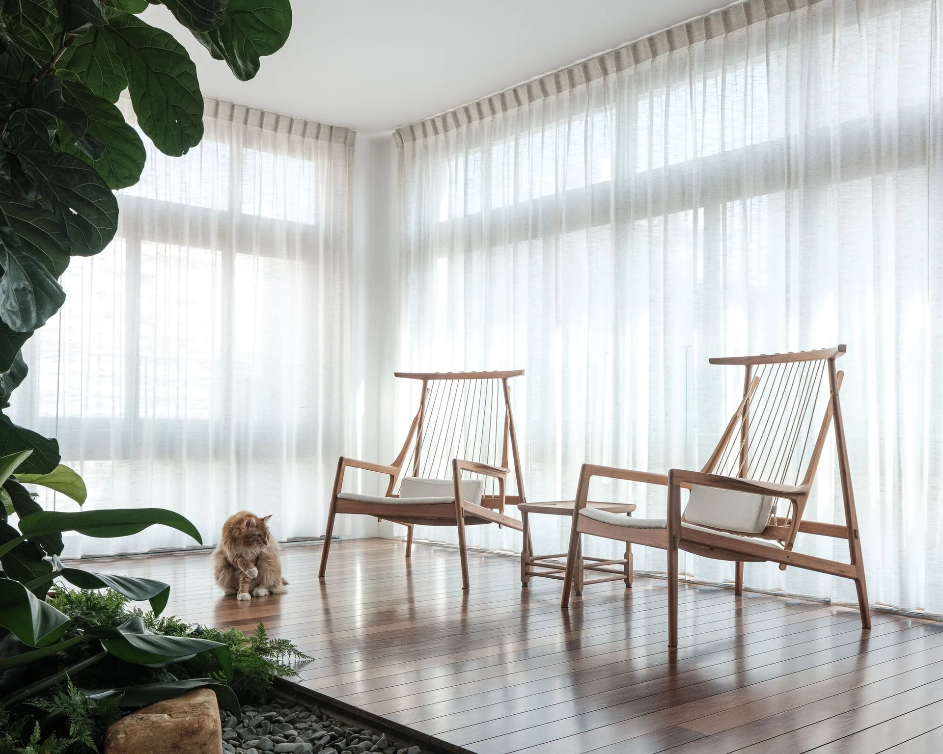 Two high-back wooden lounge chairs sit on dark polished wood floors in front of large windows with sheer white curtains.