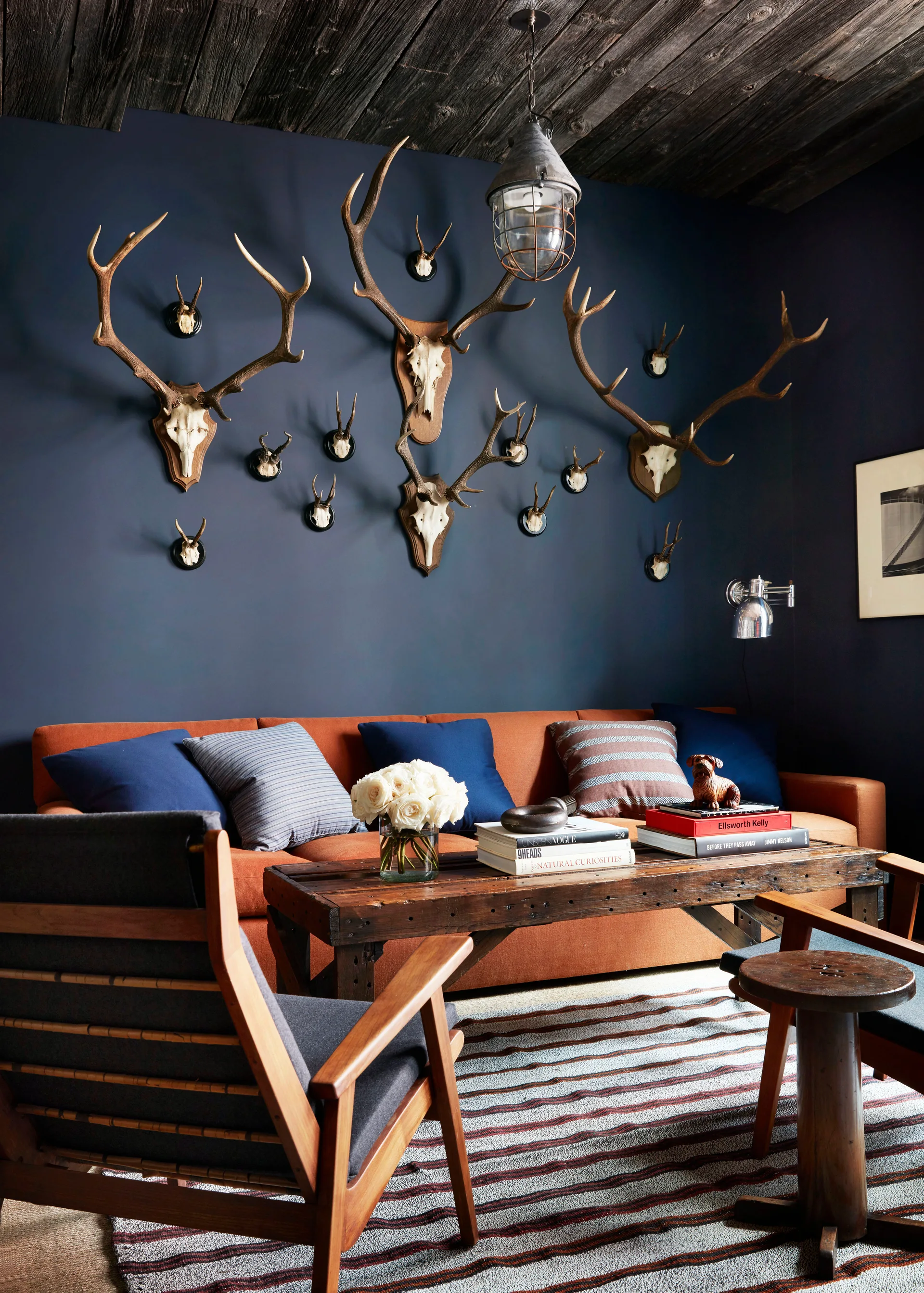 A moody living room features a navy blue wall decorated with numerous mounted antlers above an orange sofa and a low wooden coffee table.