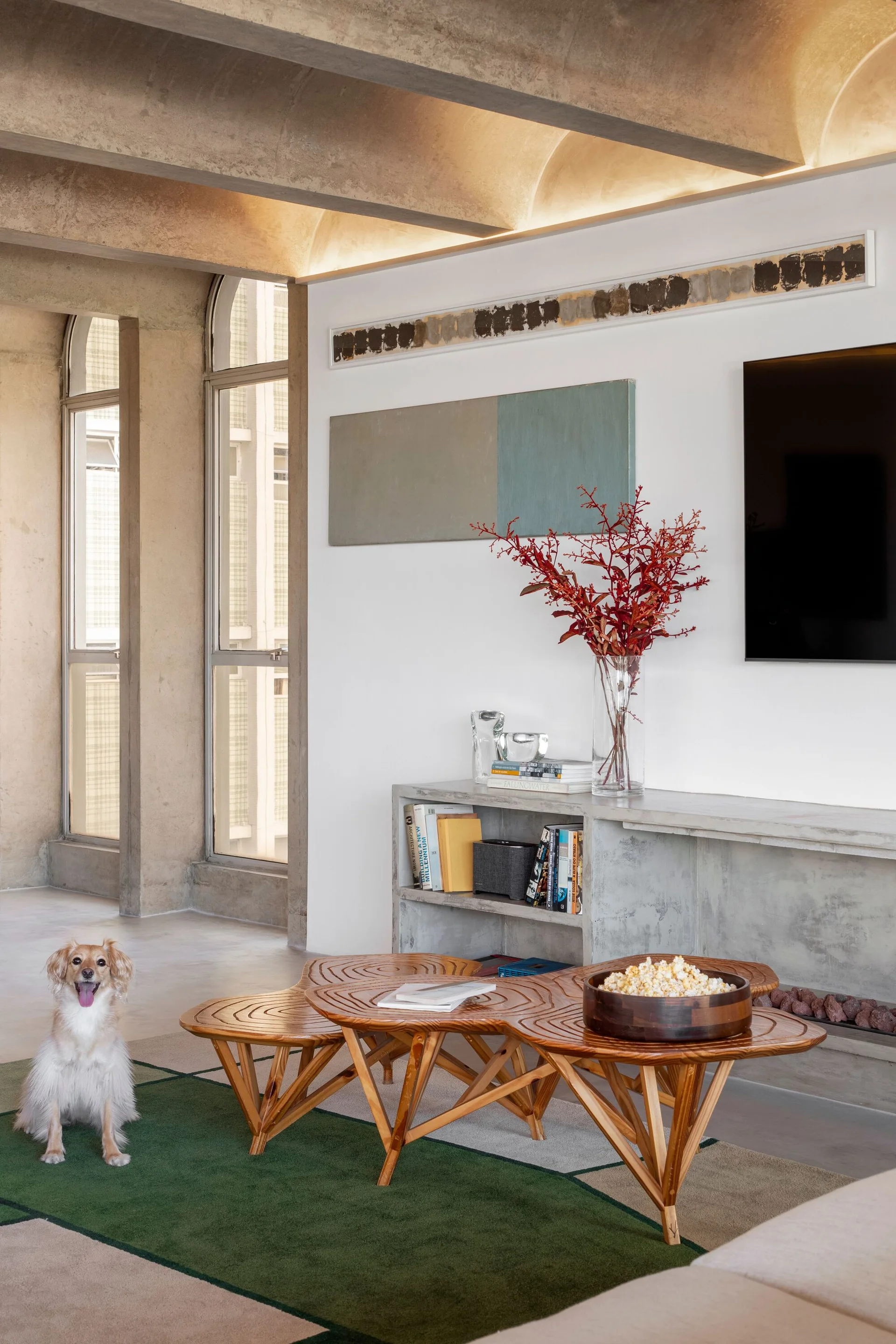 A small dog on a green rug in a living room with tiered wooden coffee tables, a concrete media console, and an arched concrete ceiling.