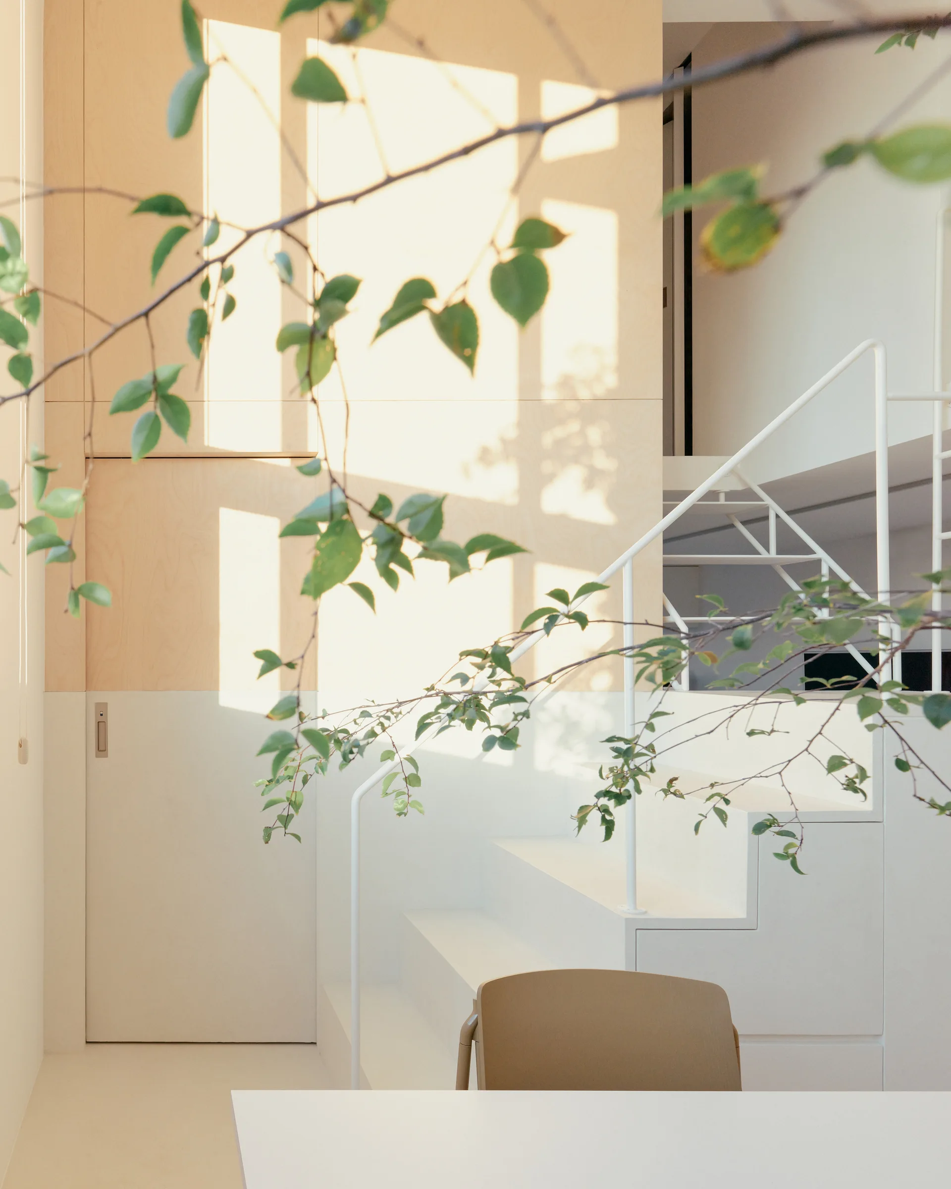 A minimalist white staircase sits next to light wood wall paneling with flush doors, illuminated by bright natural sunlight.