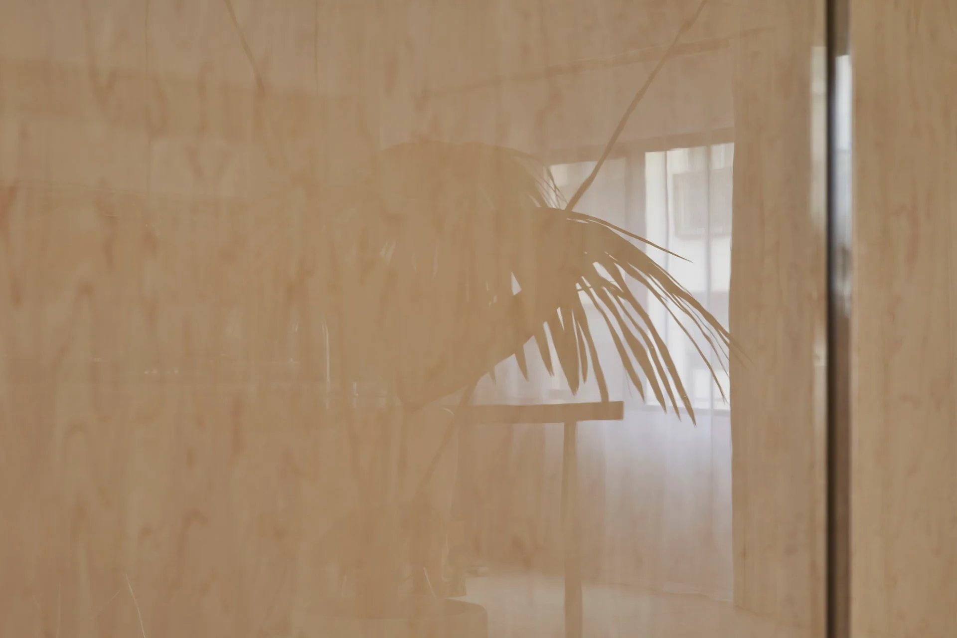 House of Wind and Light, Office Shogo Onodera, Interior