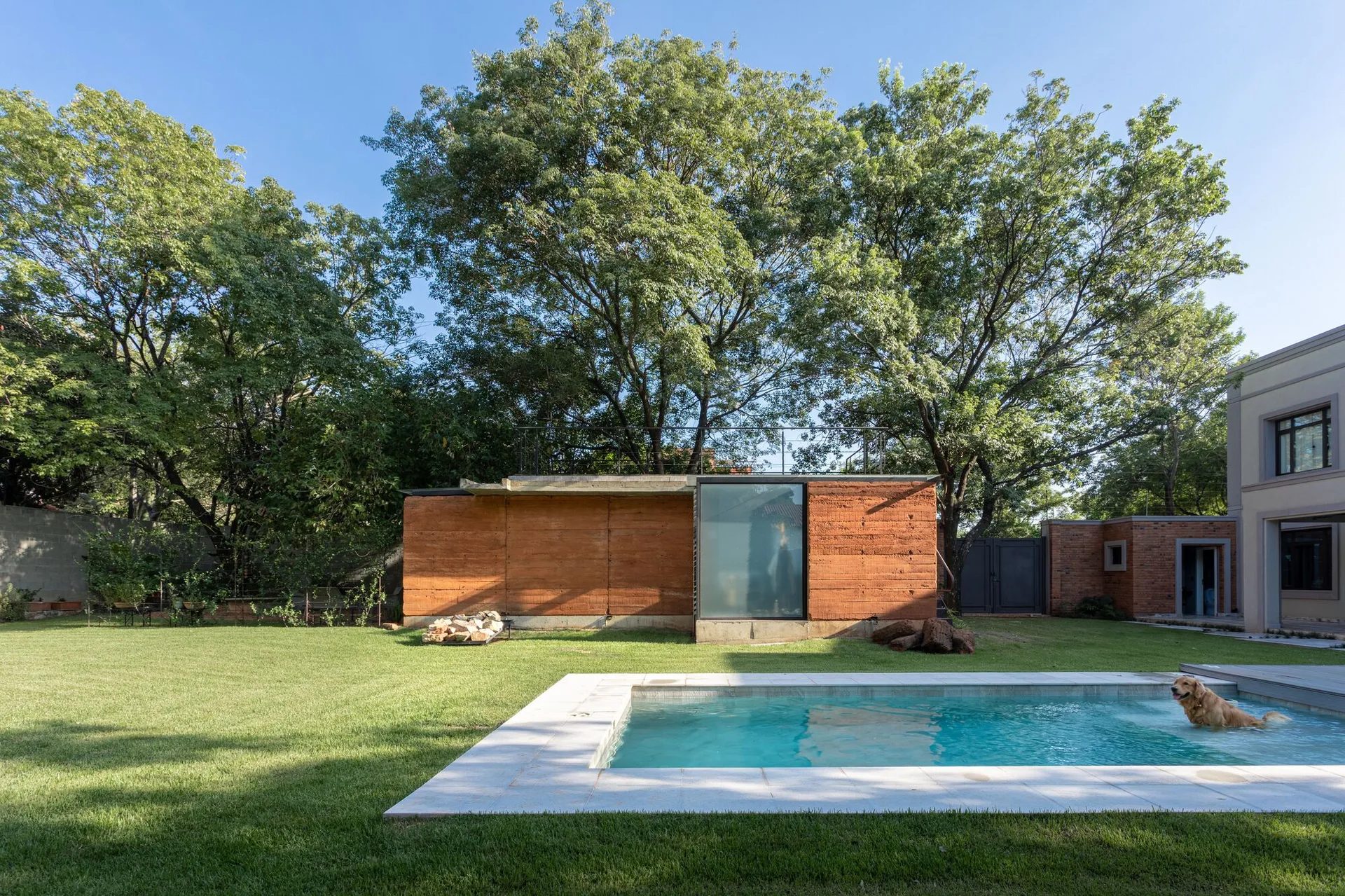 A rectangular swimming pool sits in a green lawn next to a modern terracotta rammed earth structure and mature trees.