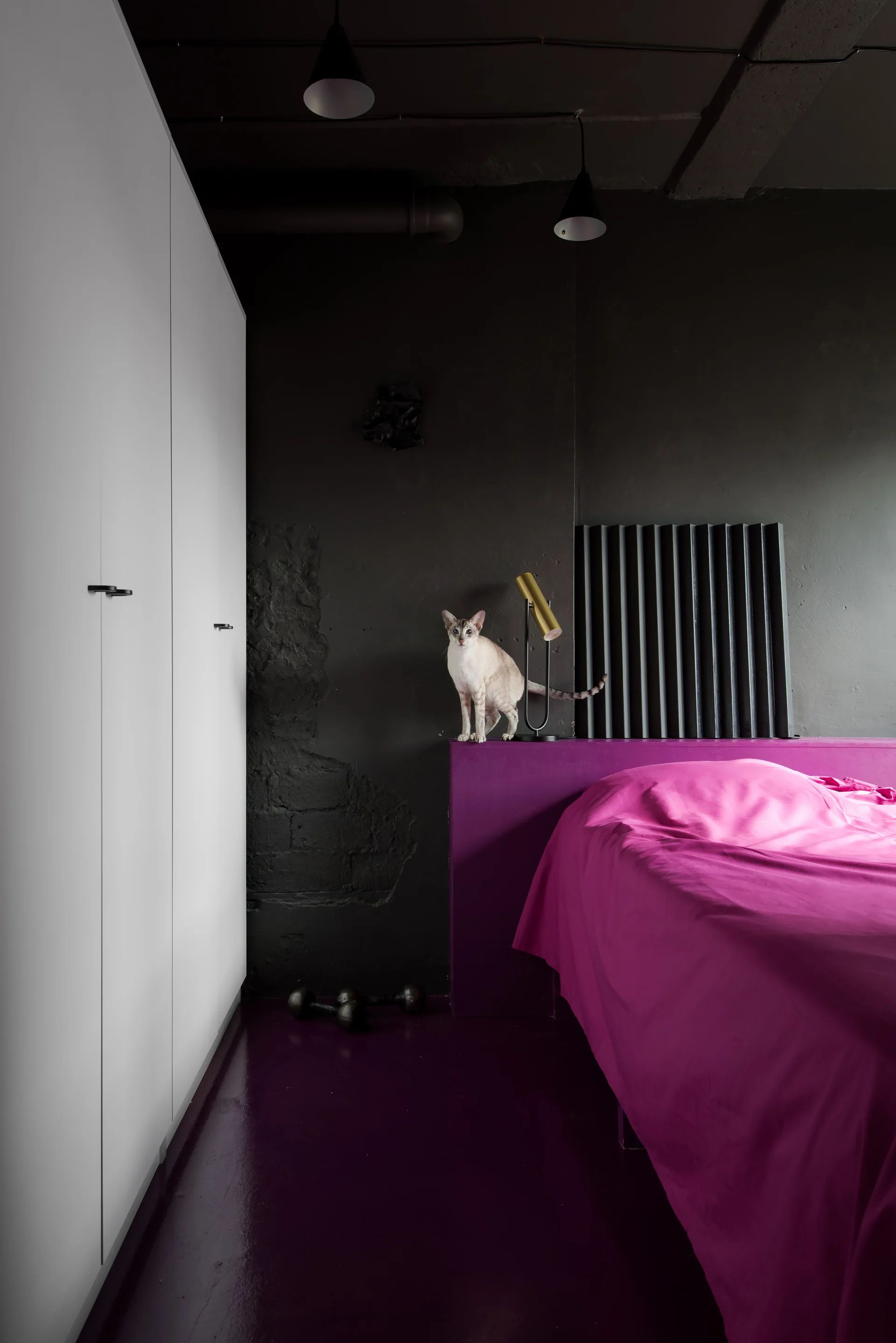 A modern bedroom features a bright purple platform bed, matching high-gloss purple floor, matte dark charcoal walls, and a tall white wardrobe.