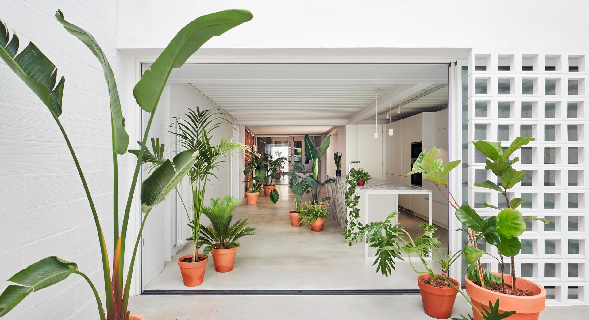A minimalist white kitchen transitions to an outdoor patio filled with lush green plants in terracotta pots next to a breeze block screen.