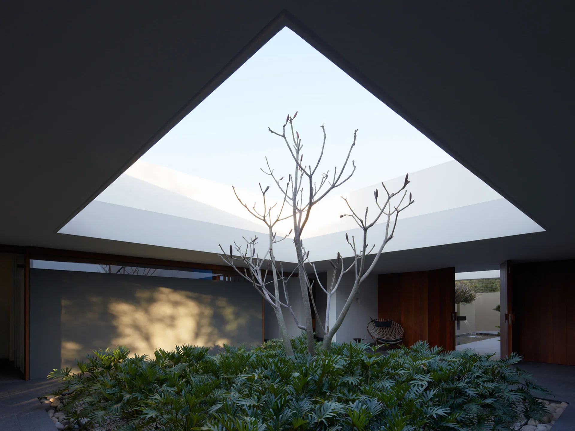 A modern central courtyard with a large triangular opening to the sky, featuring a central garden bed with a bare tree and lush green foliage.