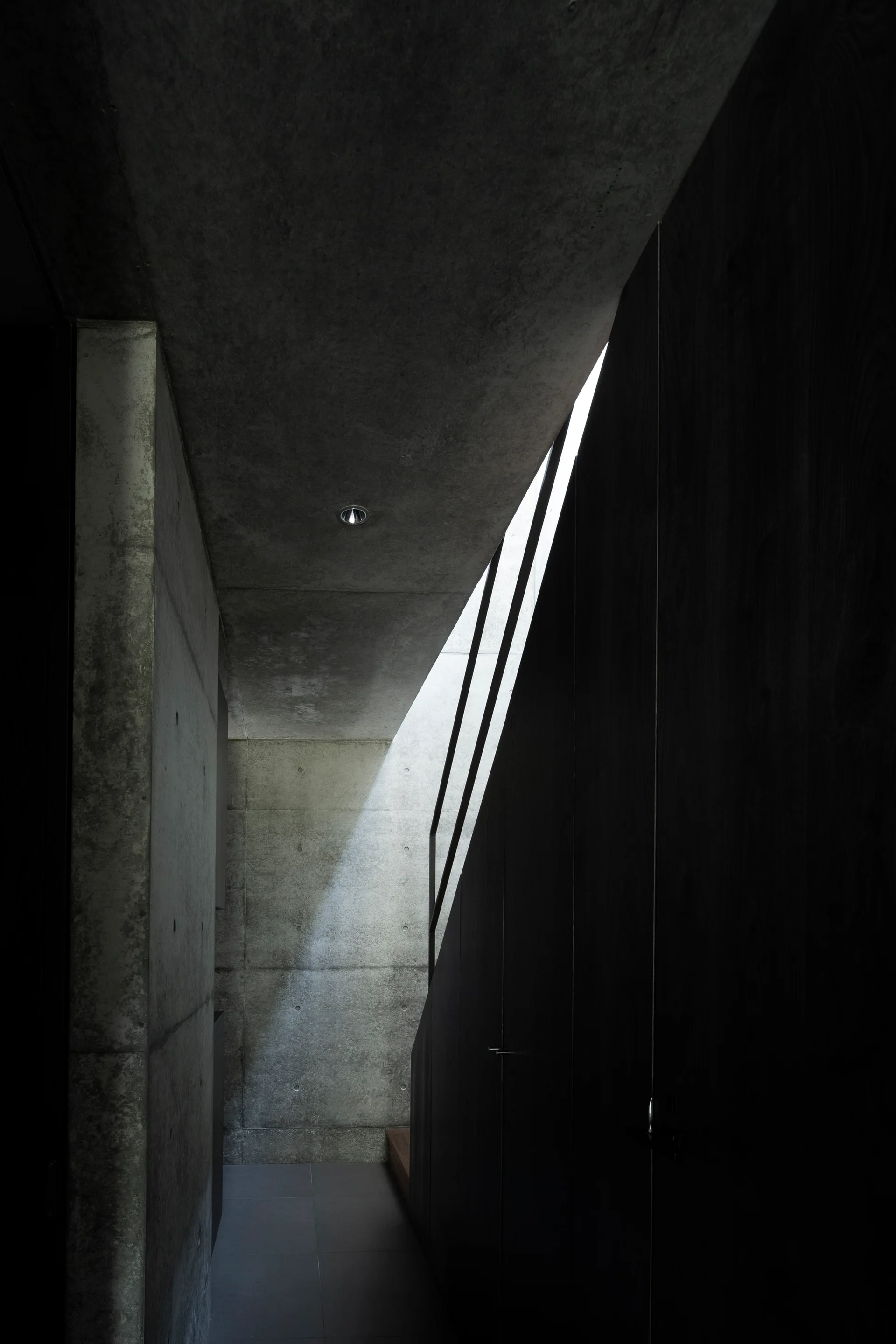 A minimalist hallway features raw concrete walls, dark wood paneling, and a dramatic beam of sunlight shining down from an upper skylight.