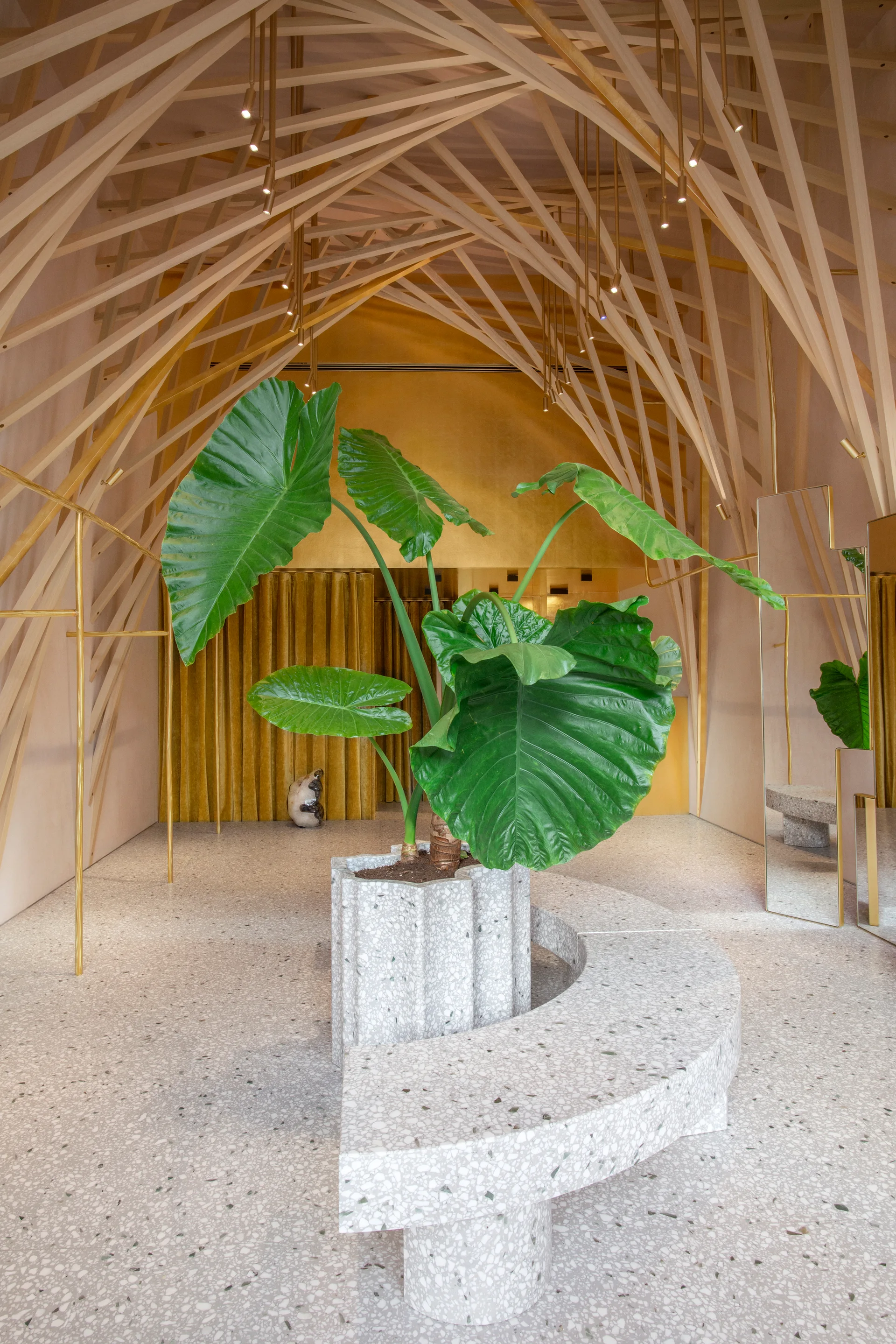 A commercial interior featuring a curved terrazzo bench with a large green houseplant beneath a structured wooden lattice ceiling.