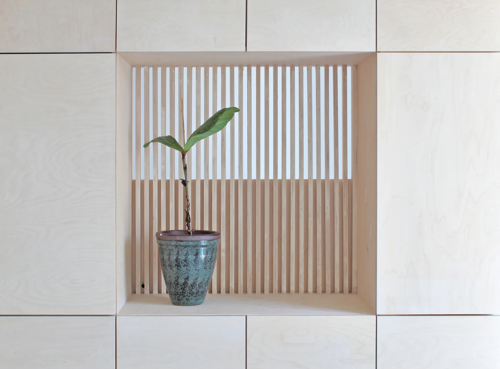 A single green plant in a speckled teal ceramic pot sits in a square alcove framed by blonde wood cabinets with a vertical slatted background.