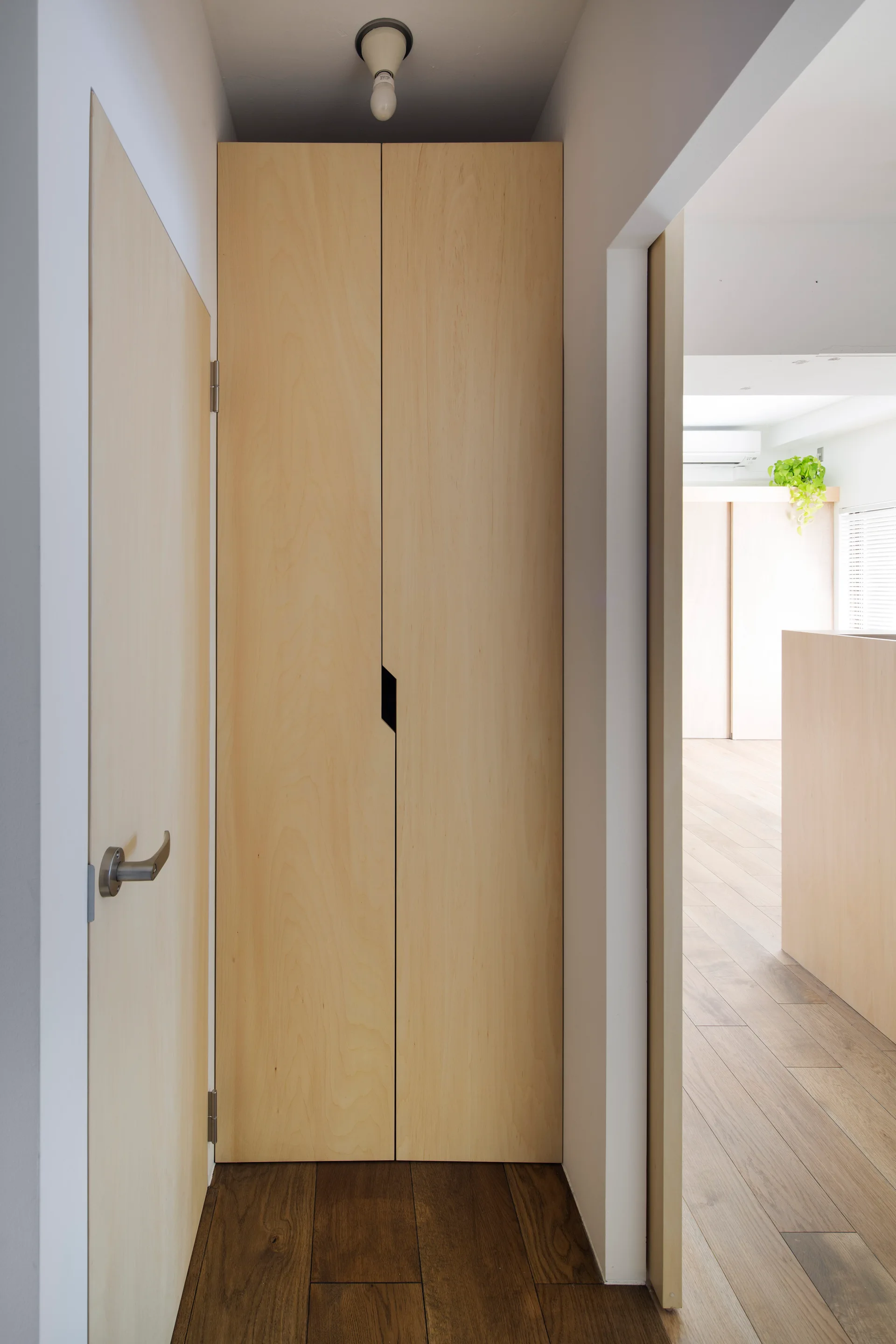 A narrow modern hallway featuring tall light wood closet doors with a black recessed pull, white walls, and dark wood floors.