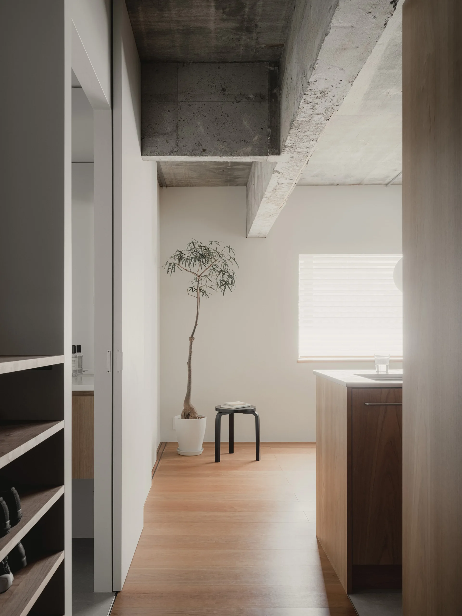 A minimalist kitchen entryway featuring warm wood floors, wood cabinetry, an exposed concrete ceiling beam, and a potted tree beside a small black stool.