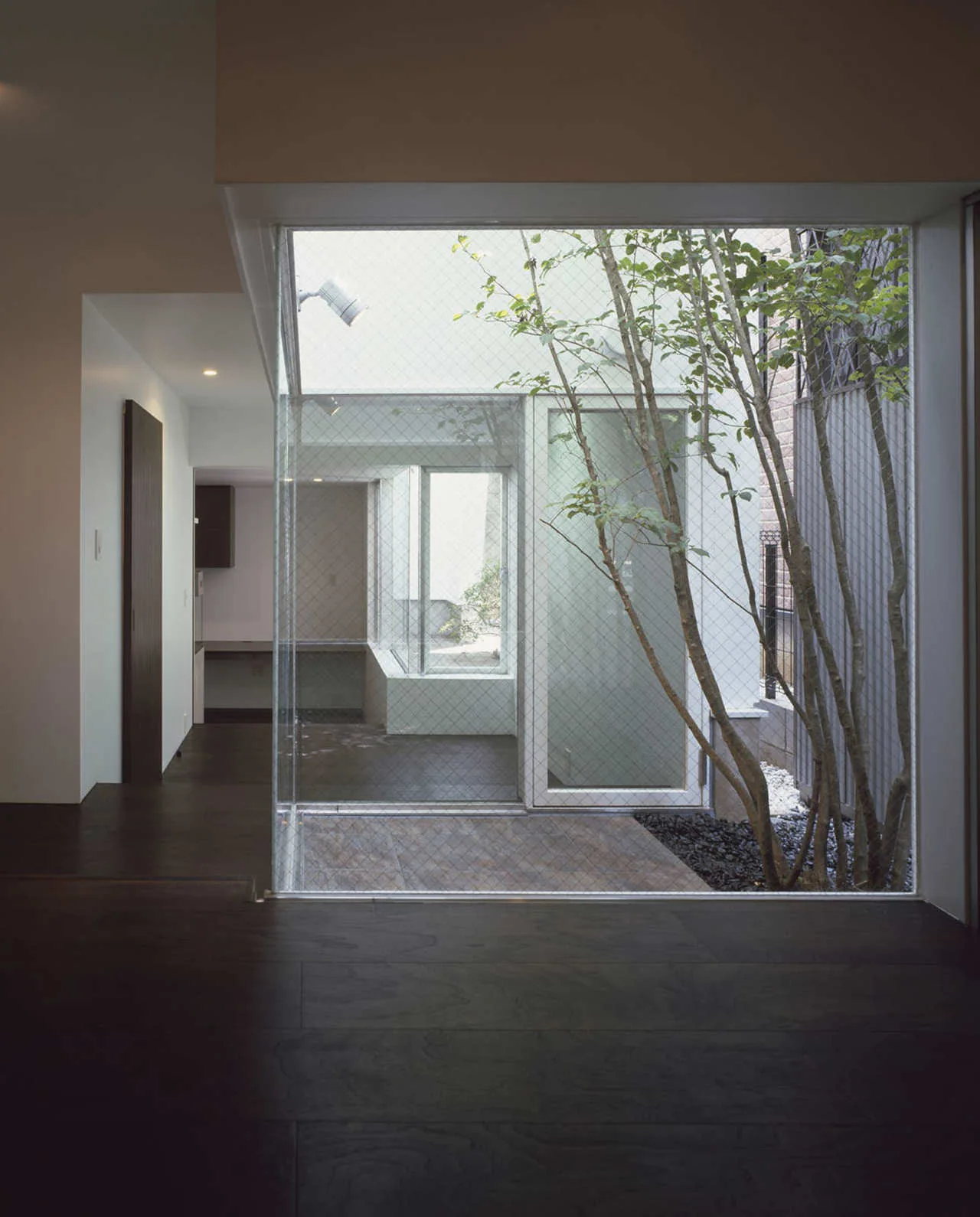 A minimalist room with dark wood flooring features a wire-reinforced glass partition overlooking a small outdoor courtyard with a tree.