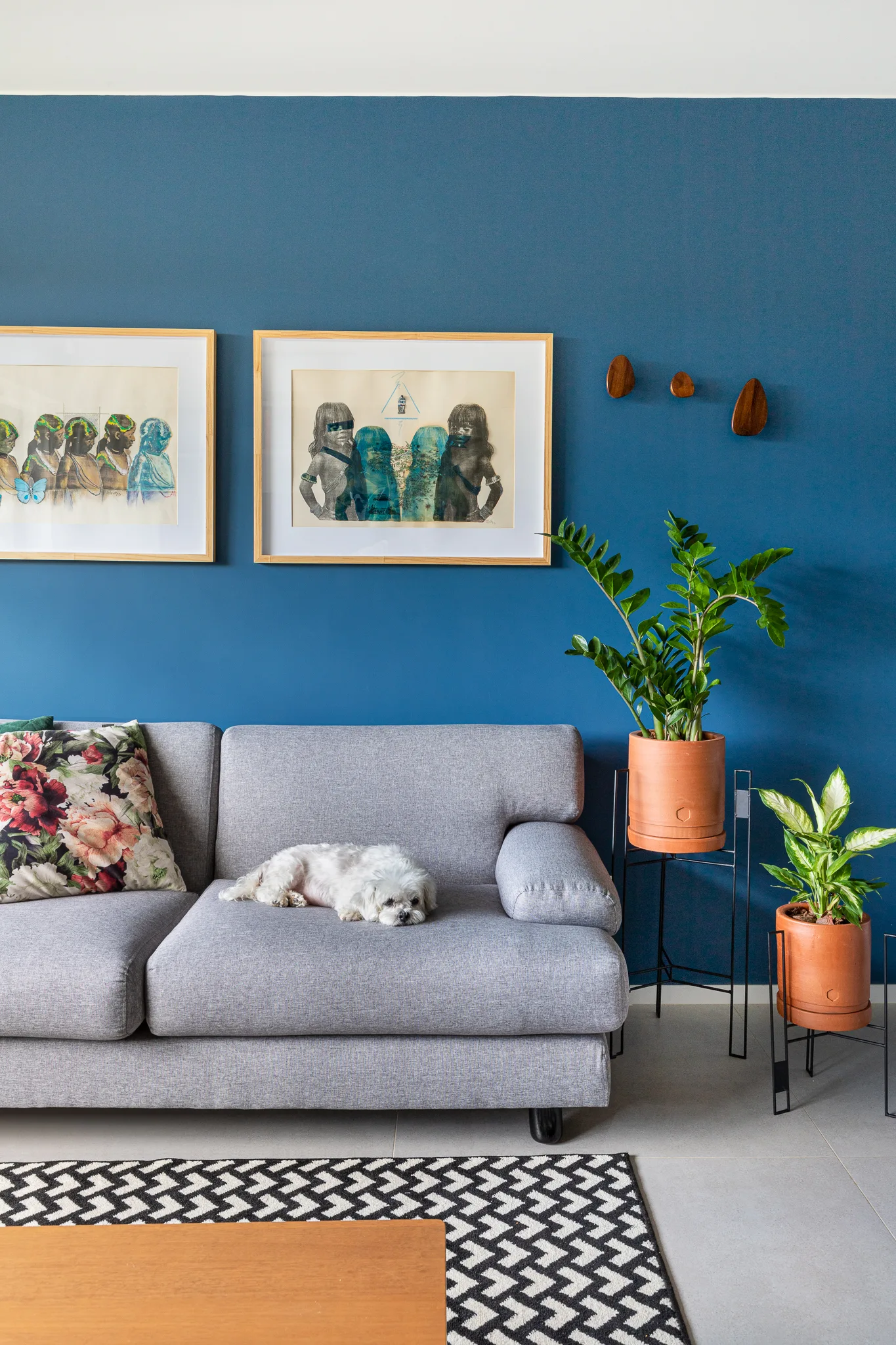 A grey fabric sofa stands against a deep blue wall decorated with framed art, beside green plants in terracotta pots on slender black stands.