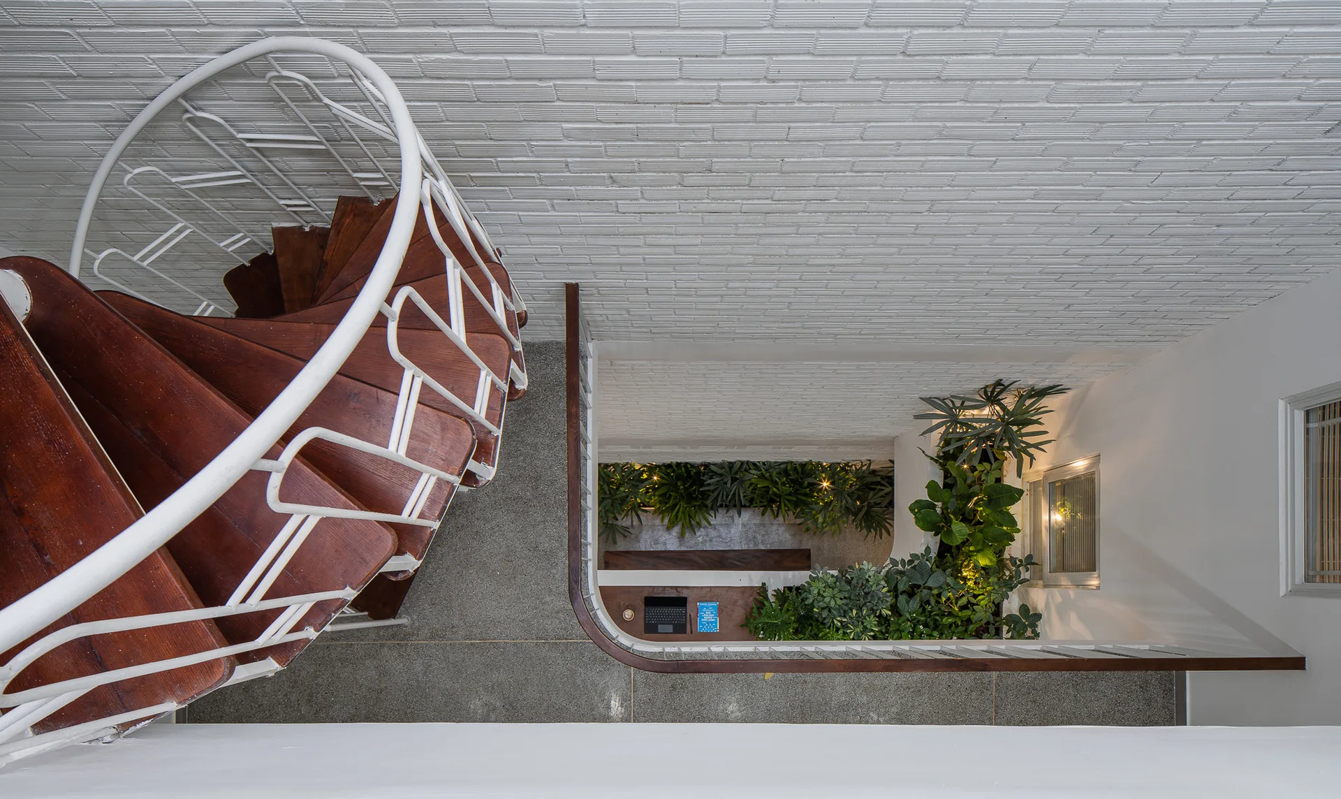A high-angle view of a wooden spiral staircase with a white railing next to a painted brick wall overlooking an indoor courtyard with green plants.