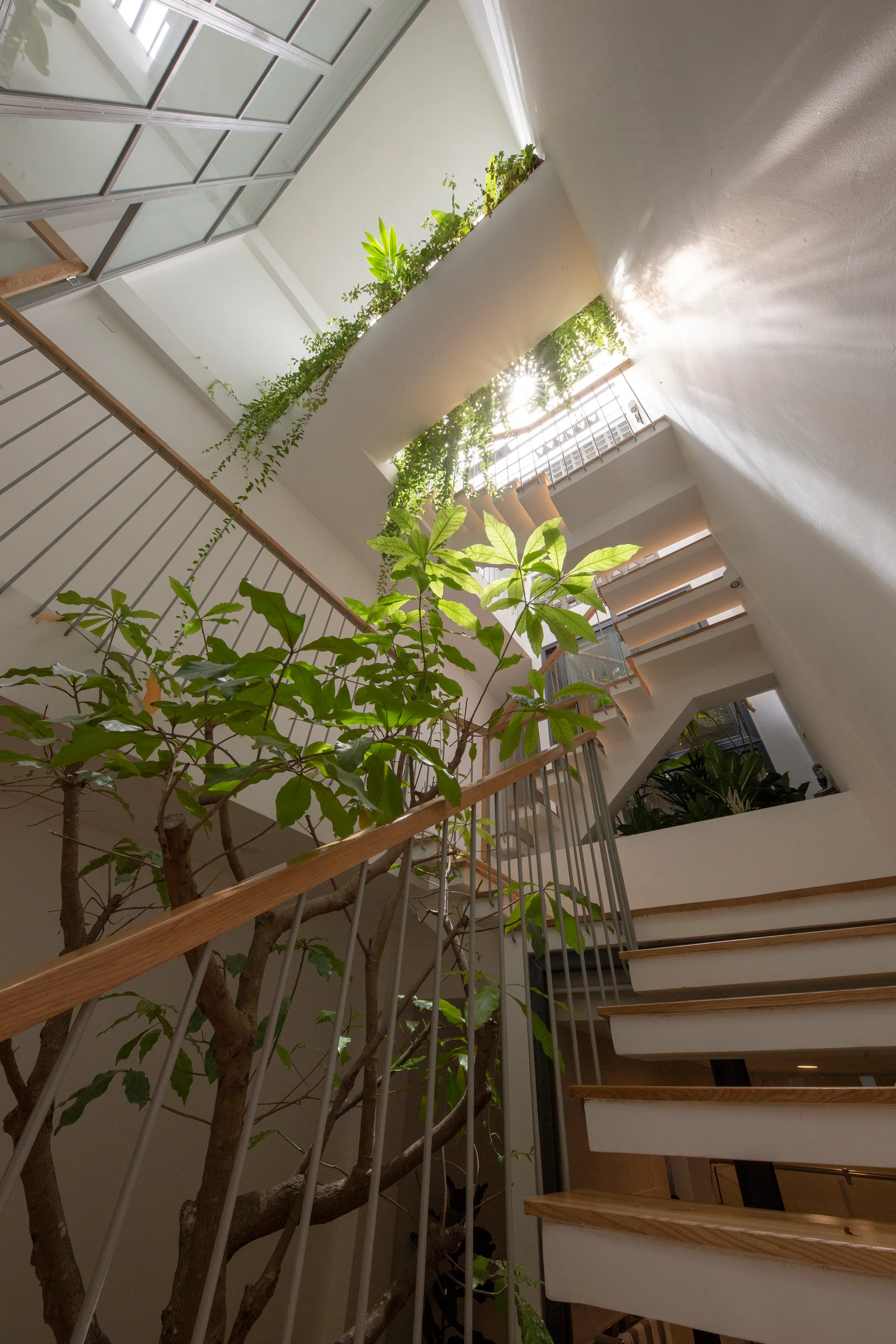 A multi-level white staircase features light wood treads, a thin metal railing, integrated green plants, and a grid-patterned glass skylight overhead.