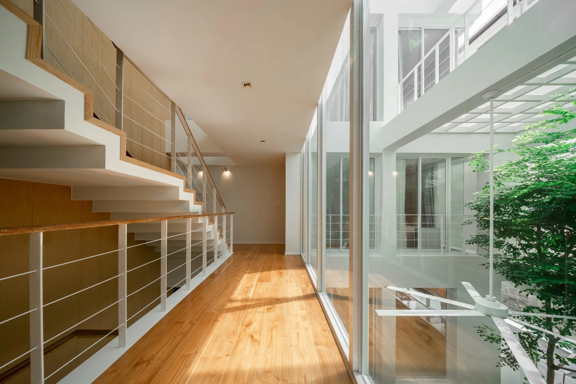 A bright minimalist hallway with a light wood floor, a matching staircase, and a floor-to-ceiling glass wall looking onto an indoor tree.