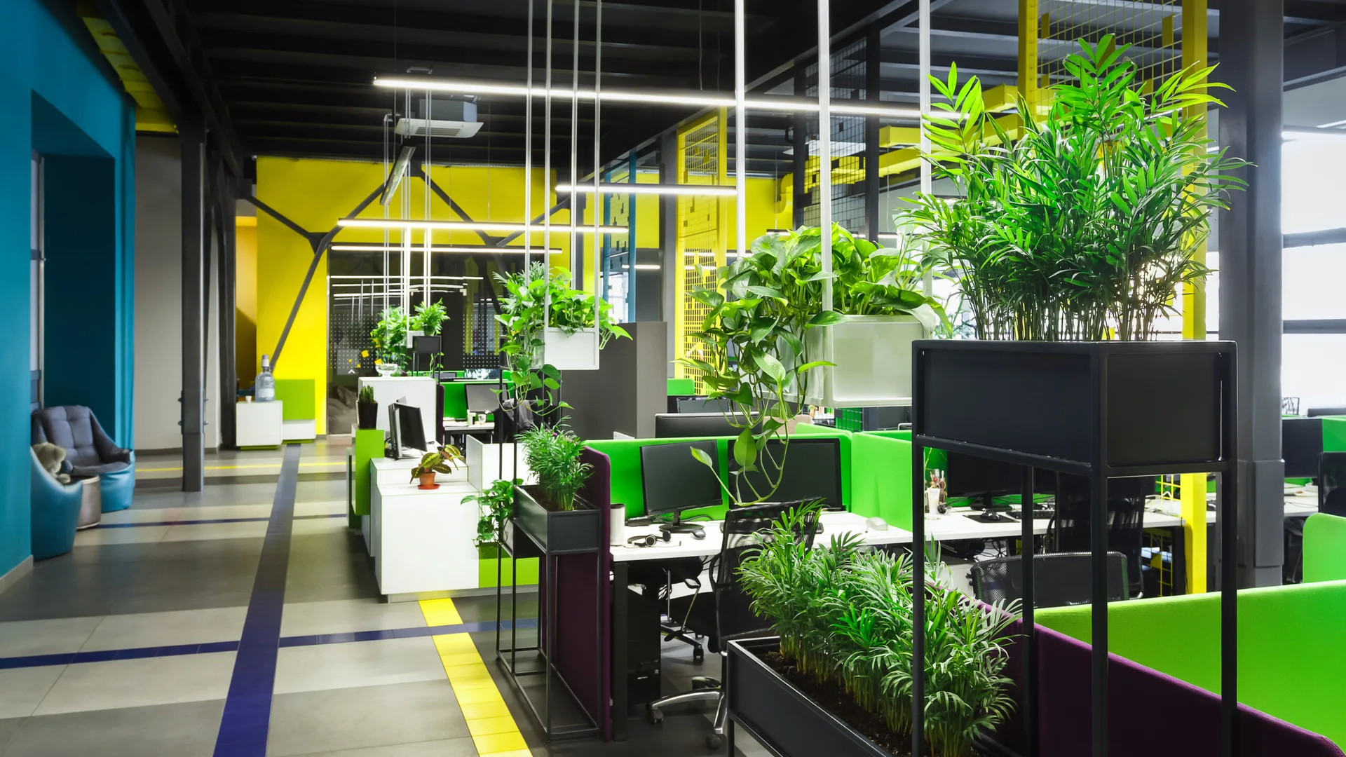 An open-plan modern office features rows of white desks with black monitors, separated by green partition screens and tall metal planters with green plants.