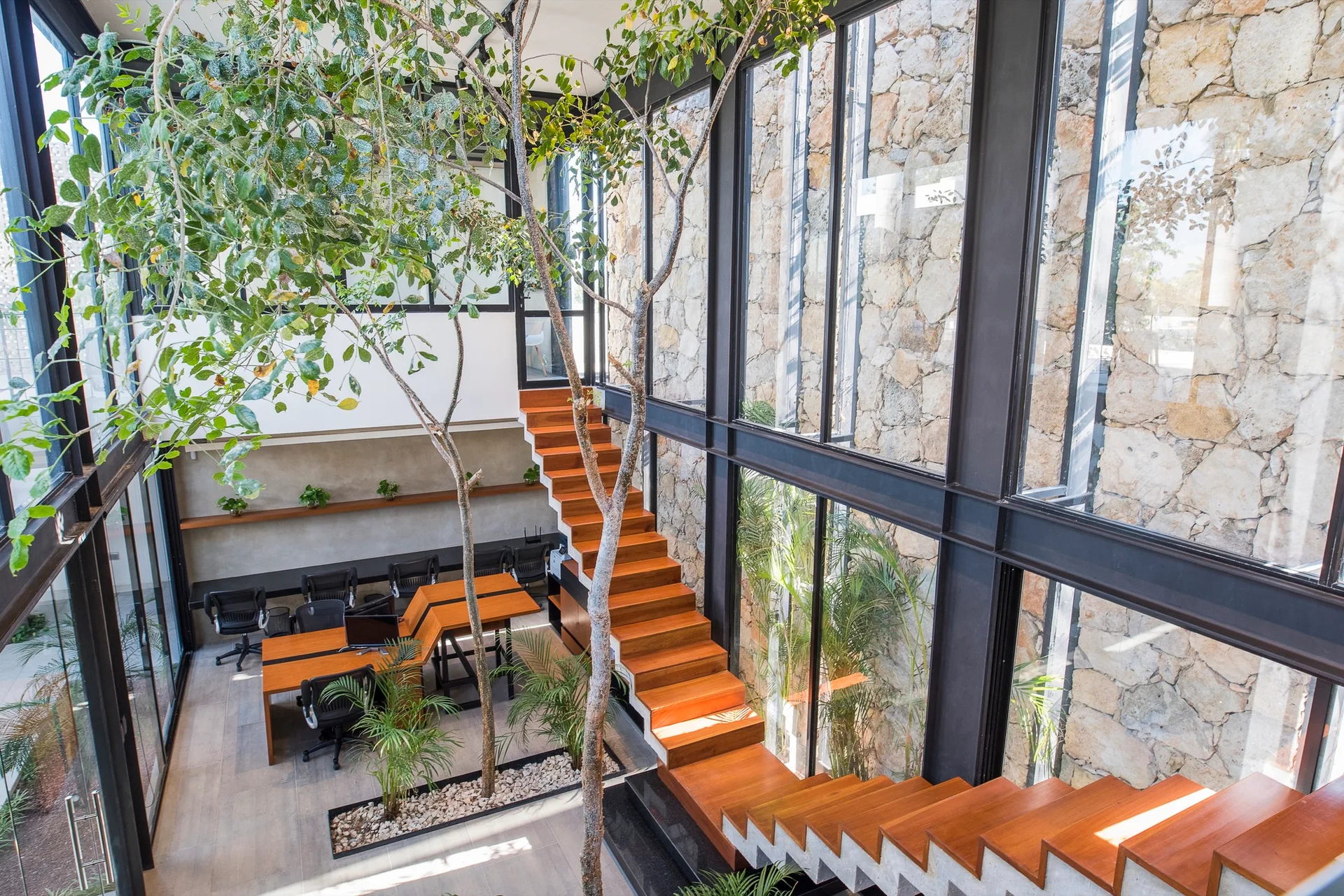 A modern workspace features a wooden staircase, integrated indoor trees, and a textured stone wall beside tall glass windows.